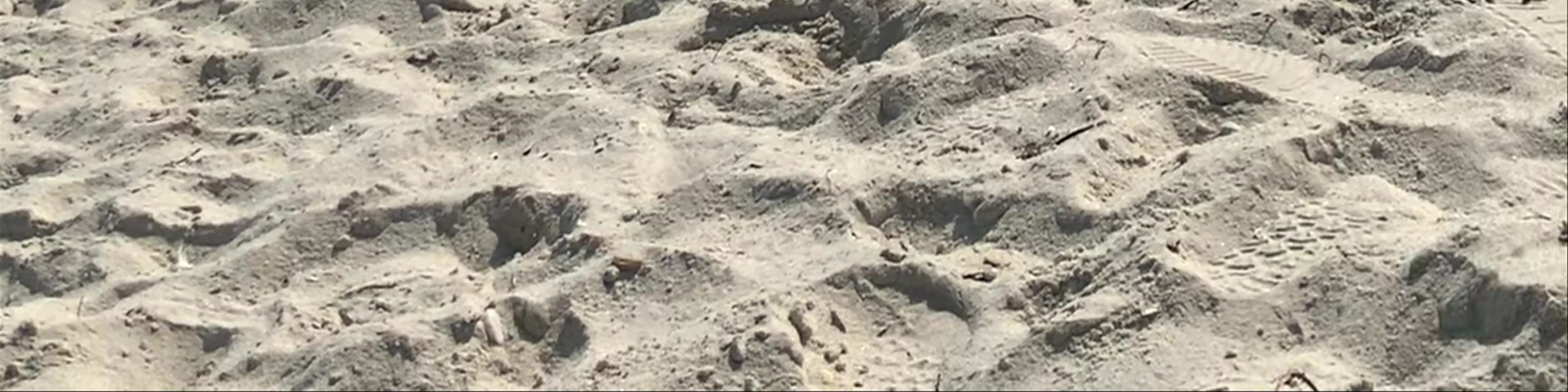 Beach of Golden Sand