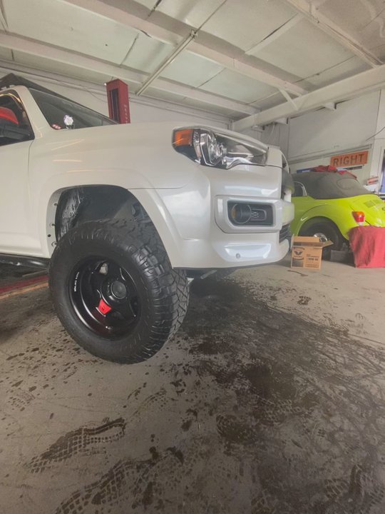 D1 Autoworks - This limited edition 4runner just got all their fluids flushed - Body Shops Near Me - Houston, Texas