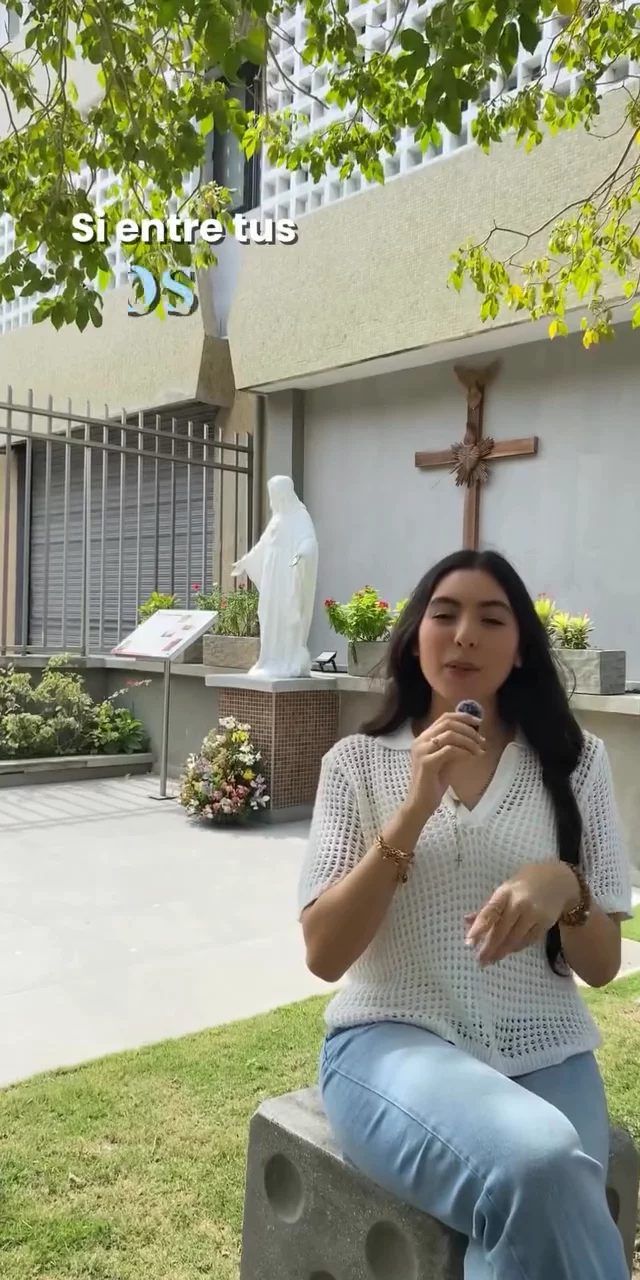 Contenido del creador