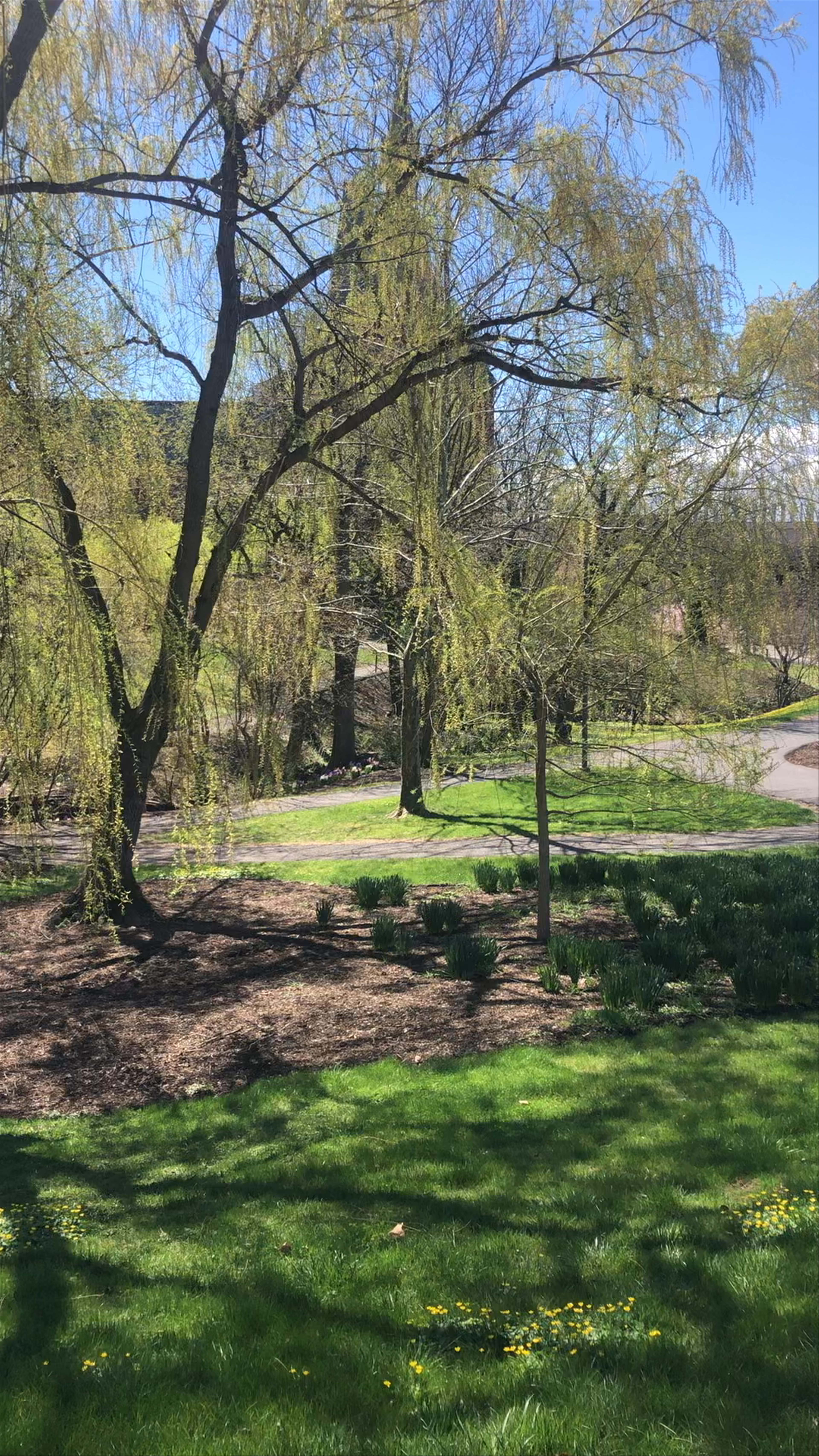 Springtime Serenity in Ithaca, New York