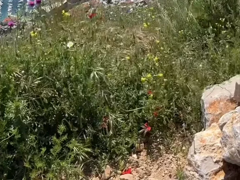 Travel Activity - Dubrovnik Zipline