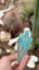 Small image 9