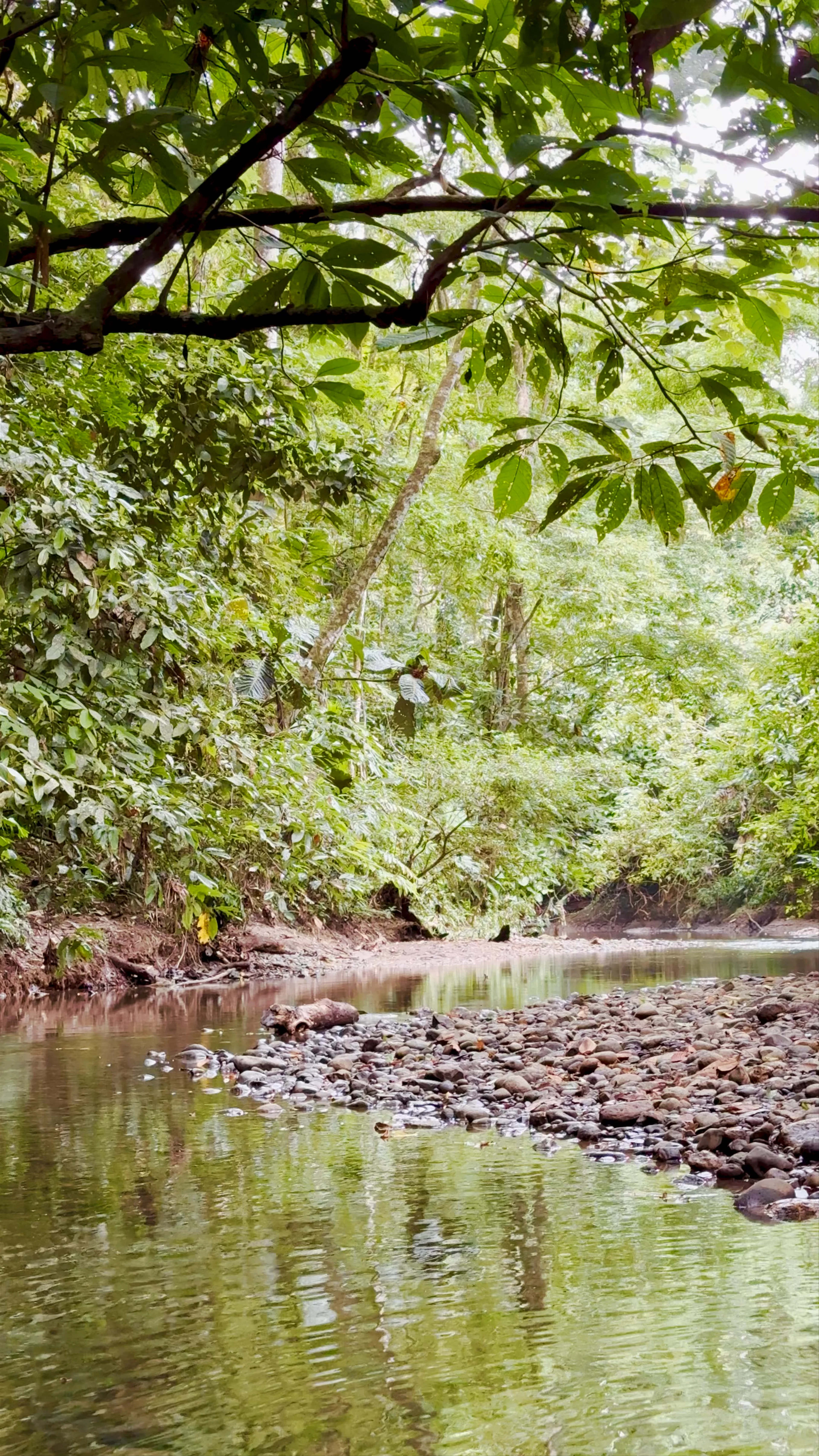 Quebrada Ernesto