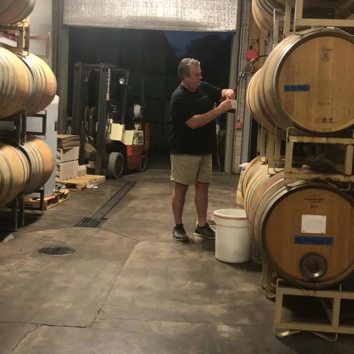 Colagrossi Wines - Good Dude- Handling my Questions, working, pouring and a SINCERELY GREAT GUY - Wine Tasting Room Near Me - Windsor, California
