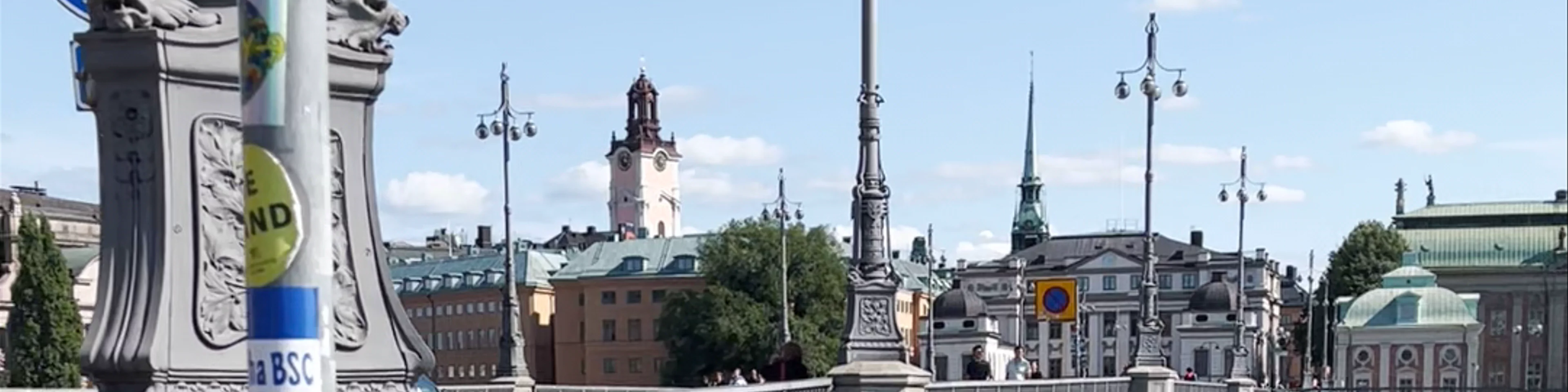 The Vasa Bridge