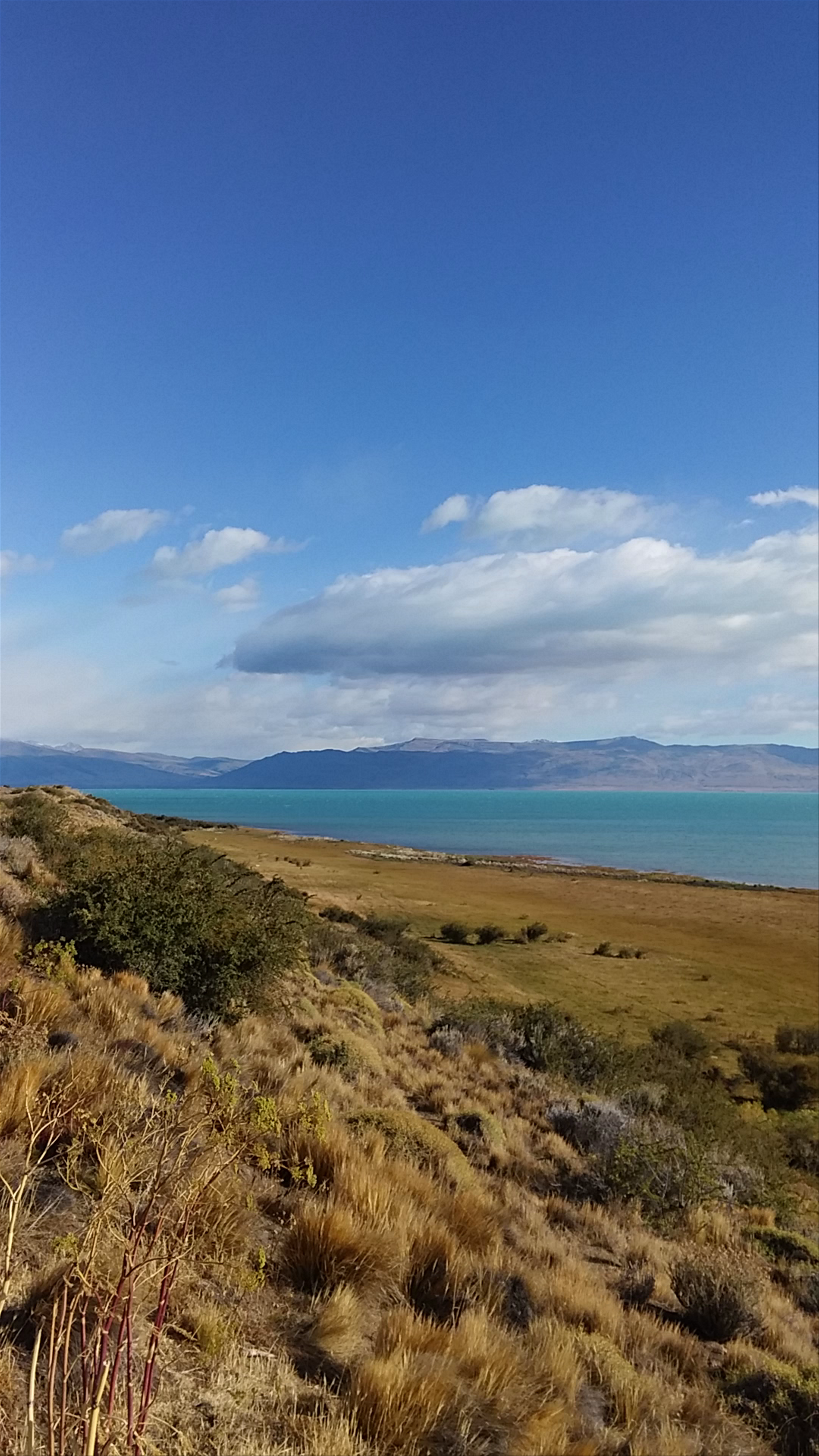 Lago Argentino: Majestic Patagonian Wilderness in Santa Cruz Province, Argentina