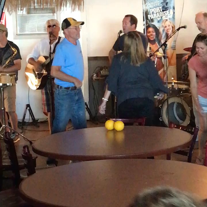 Dolphin bar & grill - Bars Near Me - Salisbury, Massachusetts
