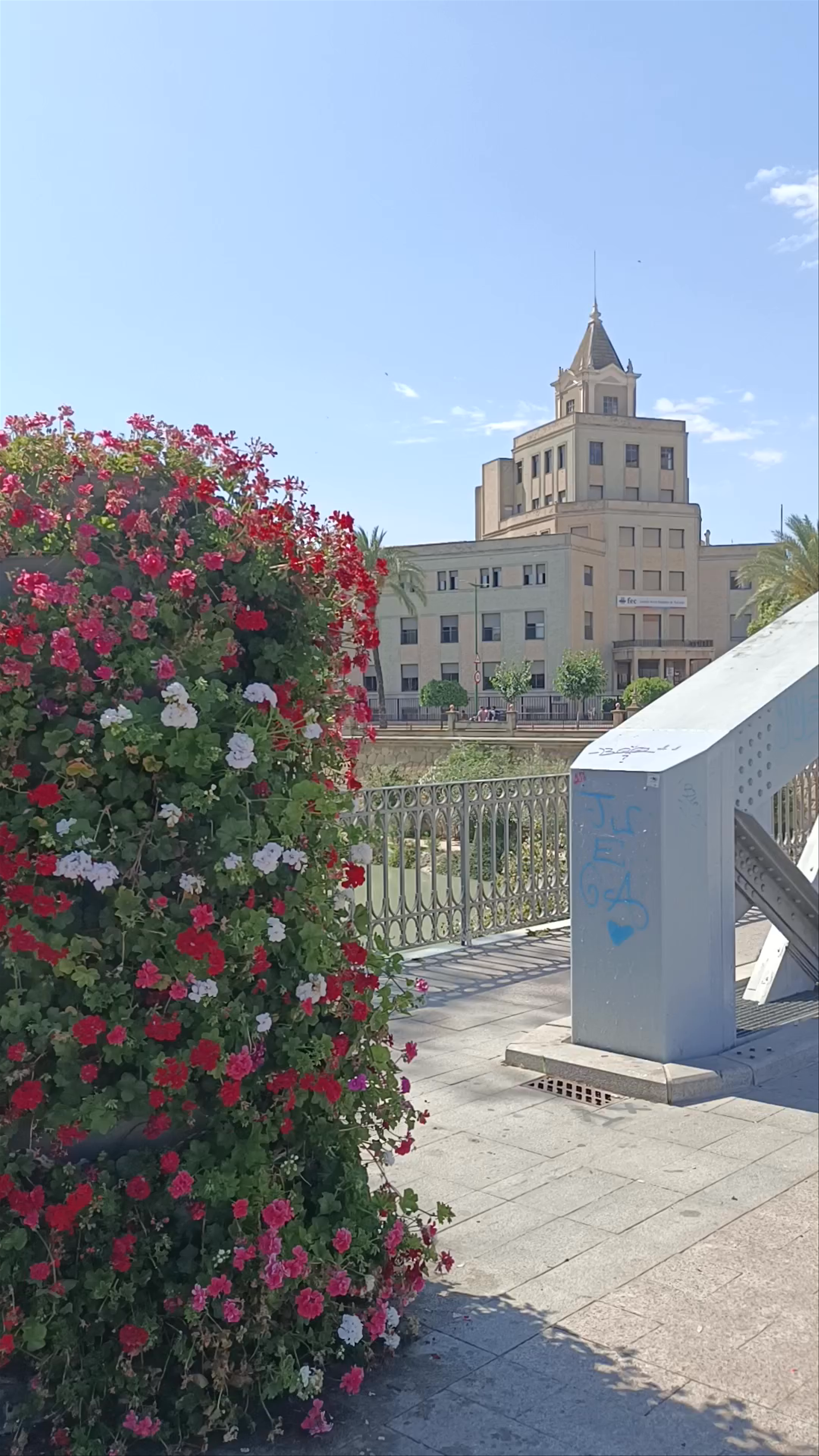 Puente de Hierro: Urban Charm and Floral Beauty in Murcia
