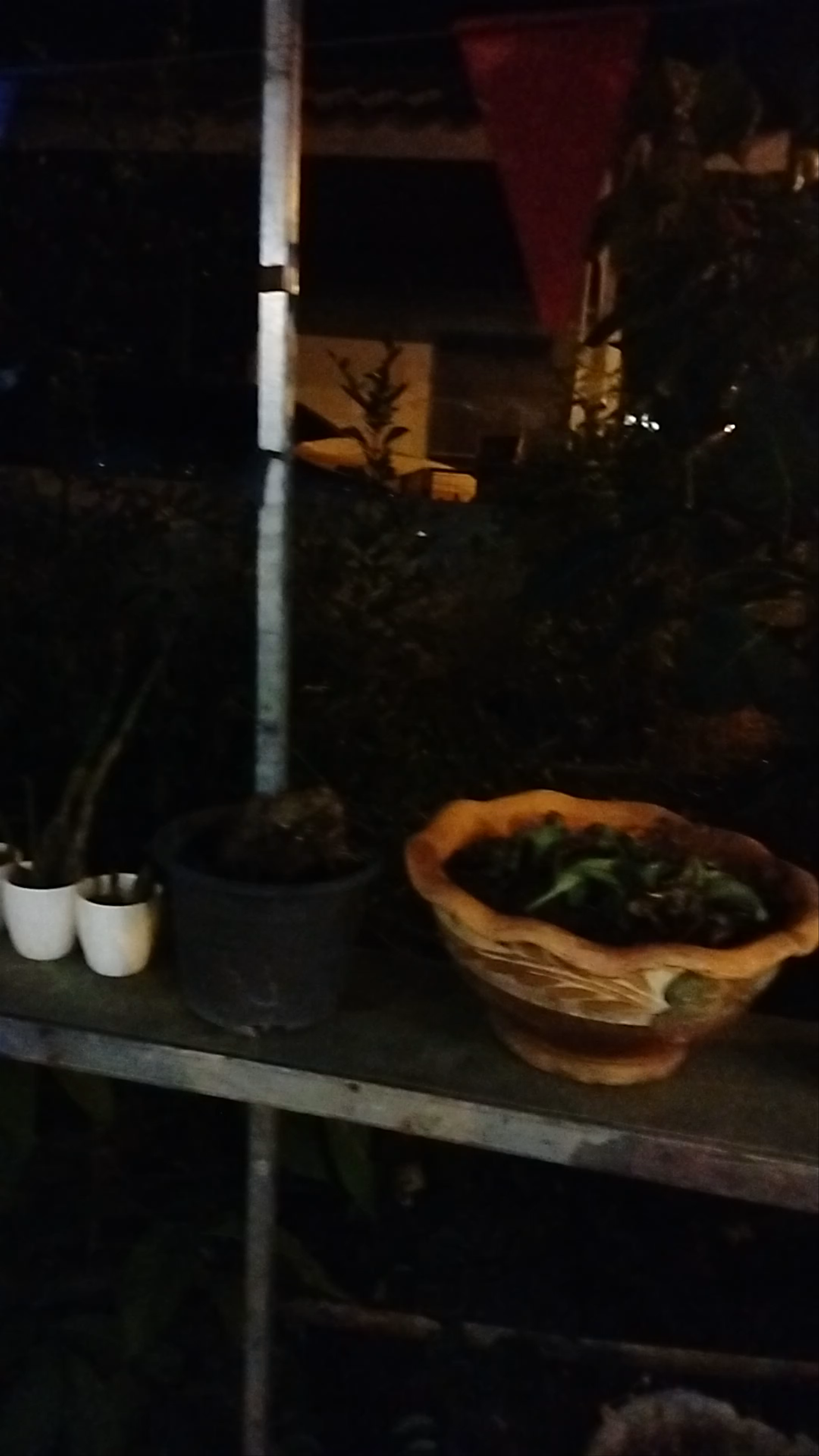 Evening Ambiance at Jim's Fiske, Khuekkhak, Thailand