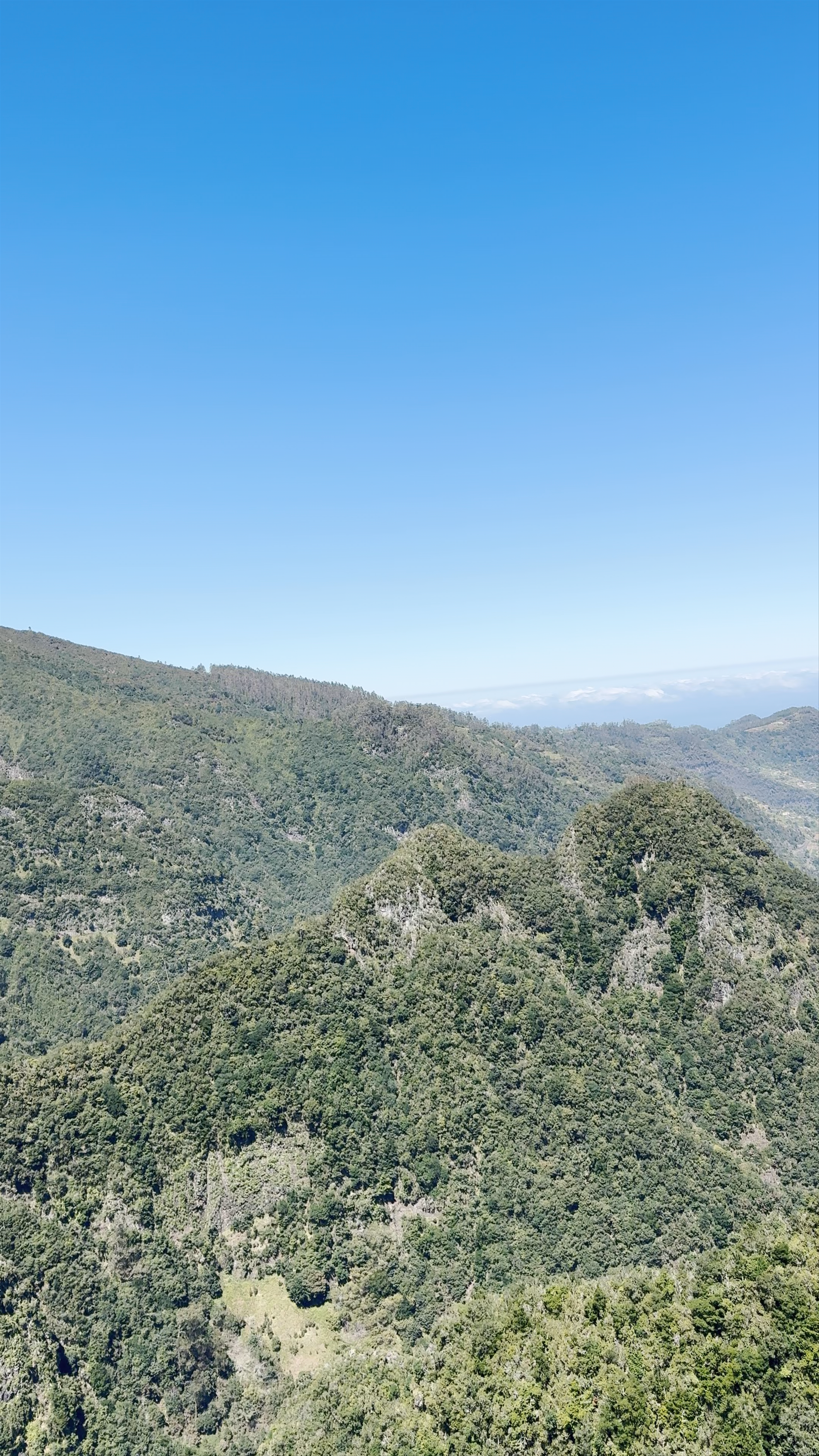 PR11 Levada dos Balcões