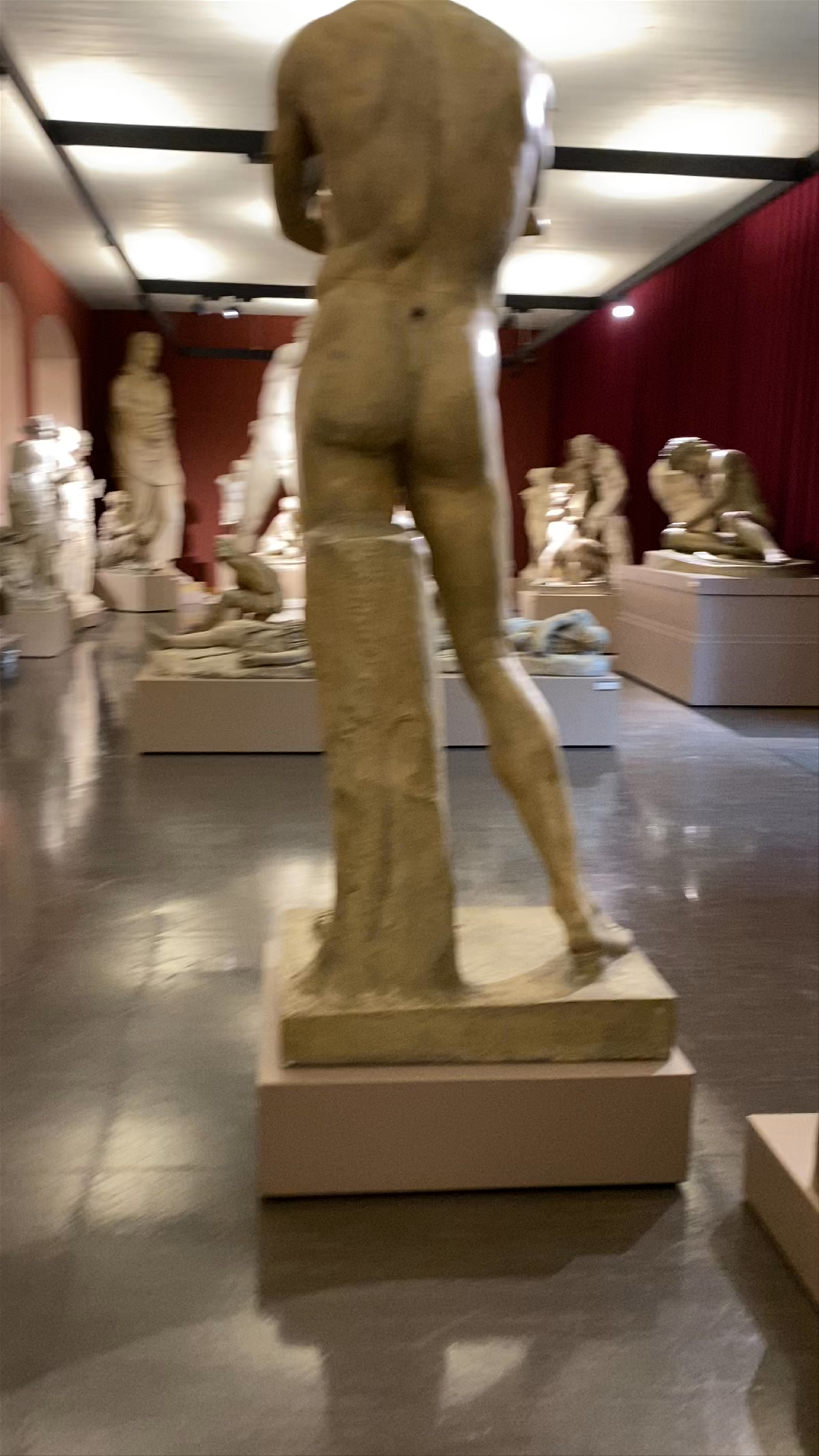 Exploring the Archäologisches Institut: Classical Sculpture in Zürich