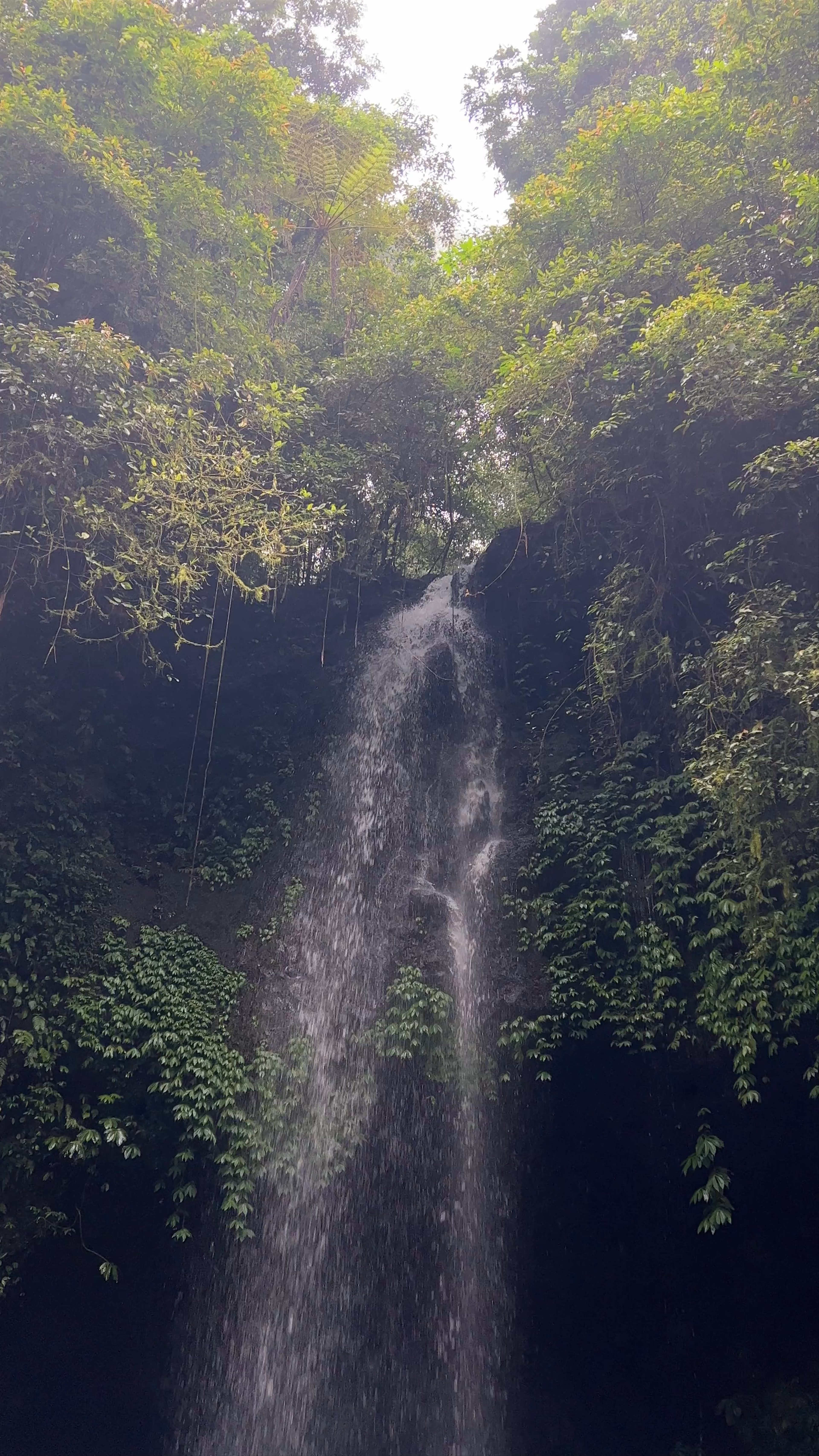 Banyumala Waterfall