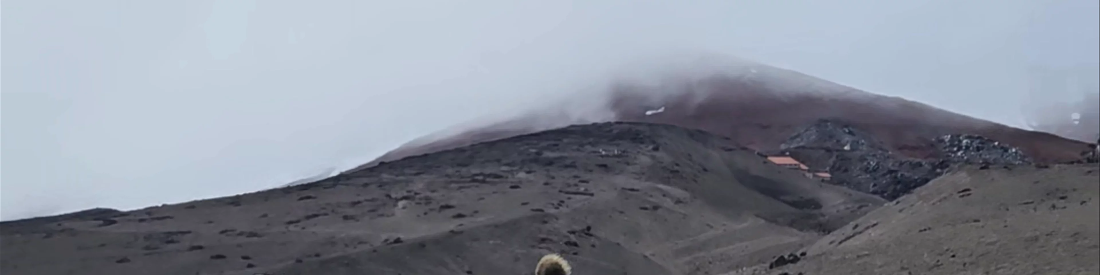 Cotopaxi National Park