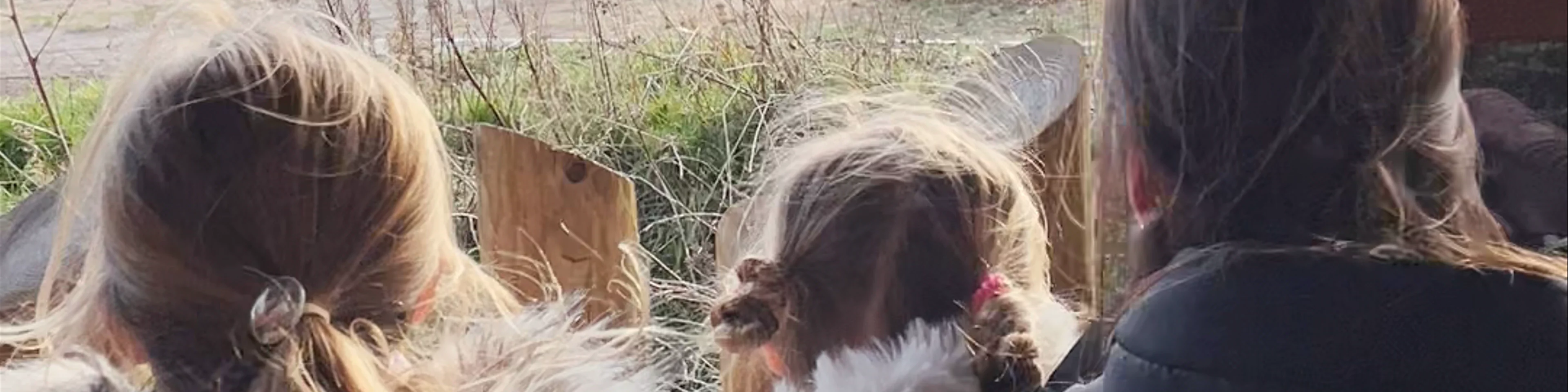West Midland Safari Park