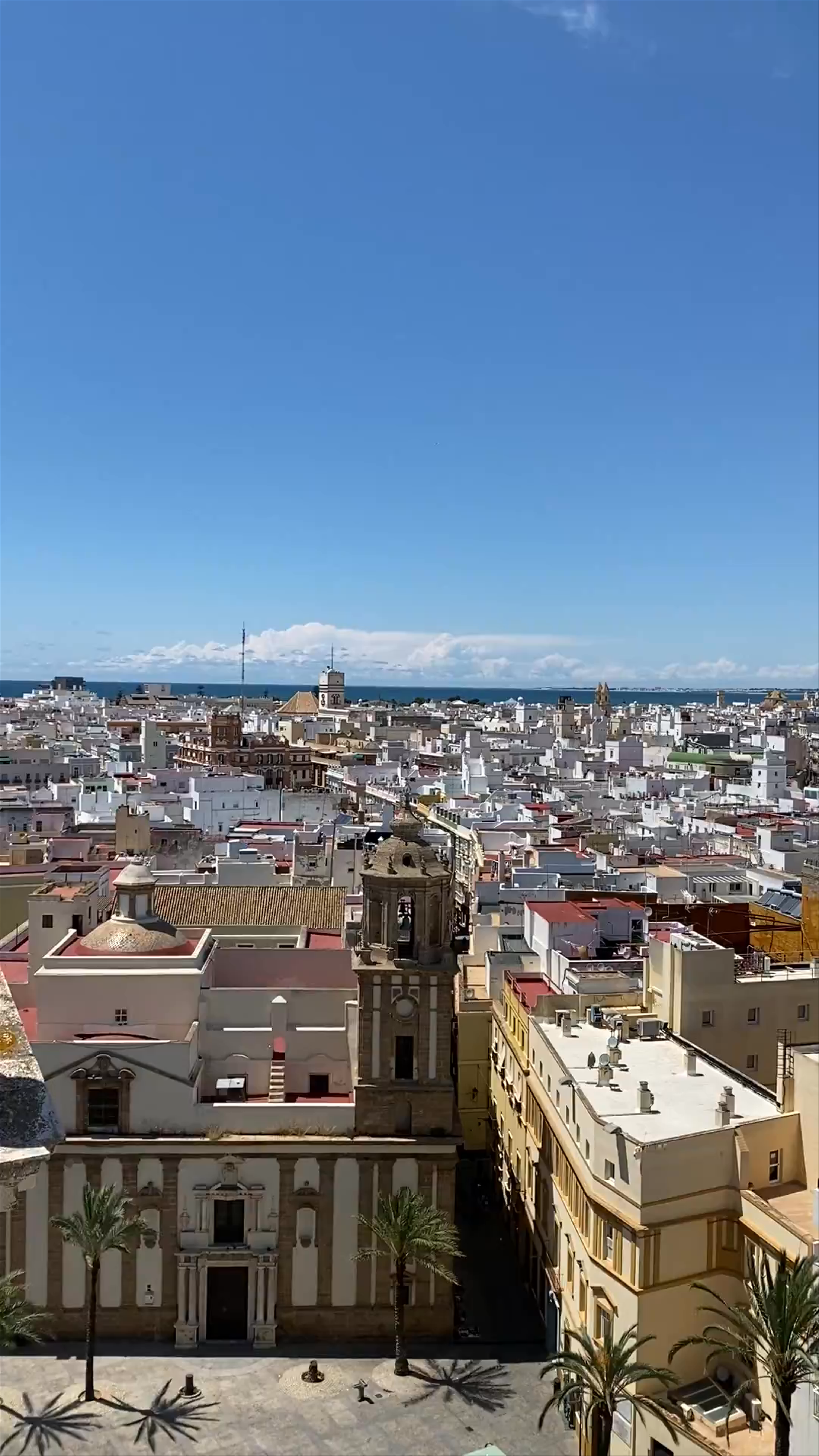 Cadiz Cathedral Center