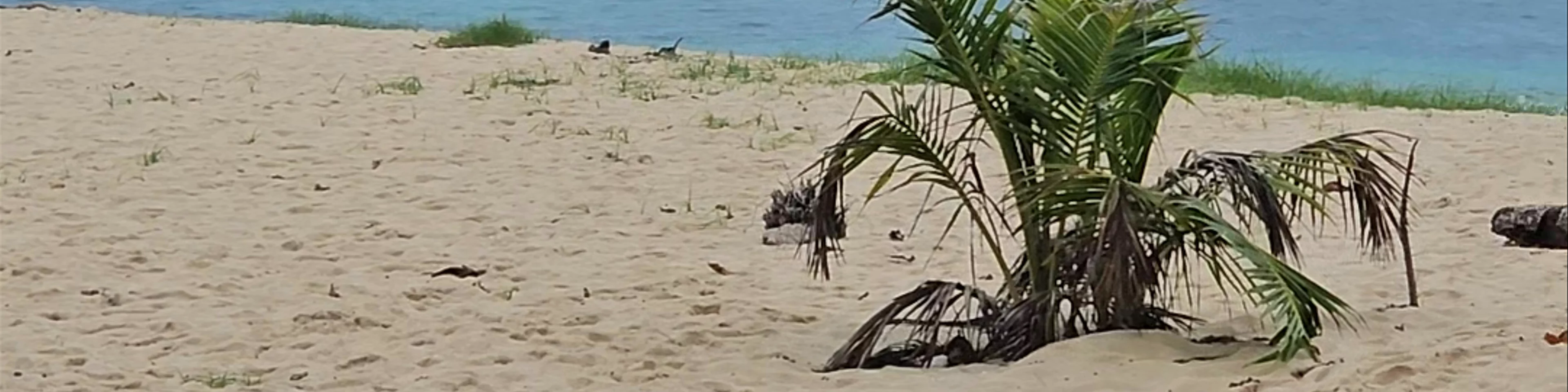 Daku Island