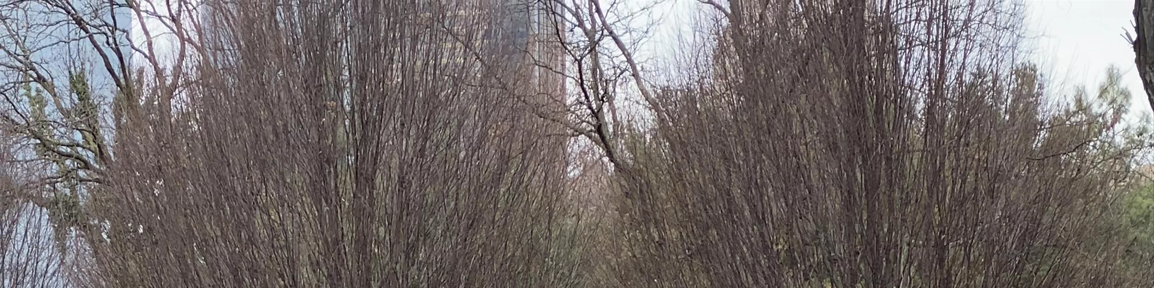 Central Park Zoo