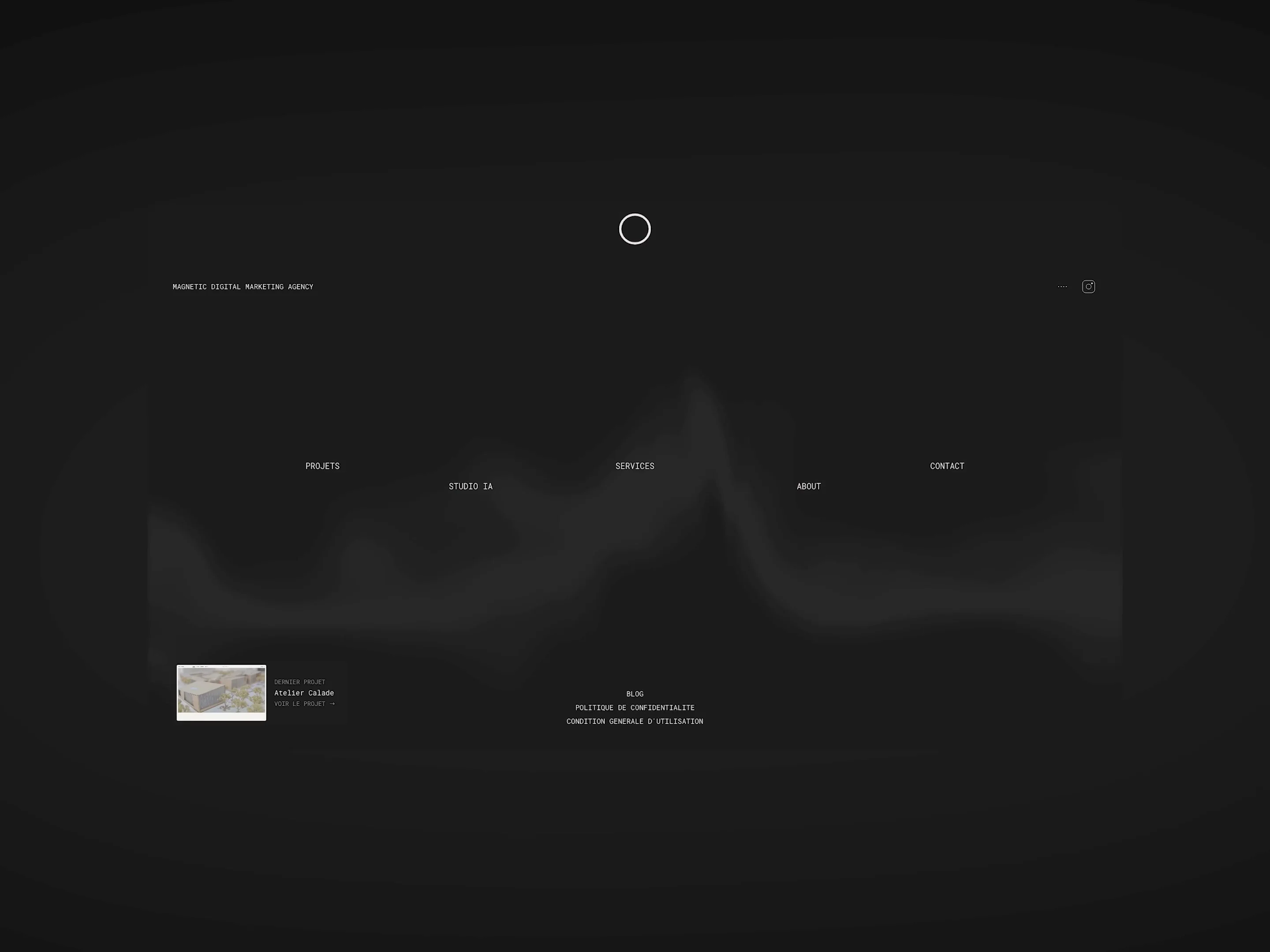 Magnetic Agency