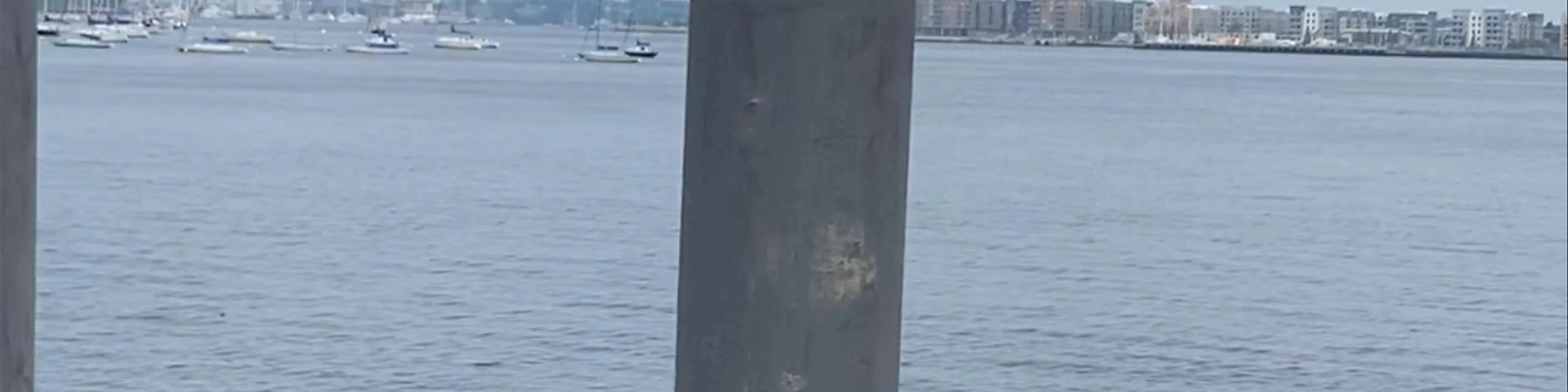 Boston Harbor