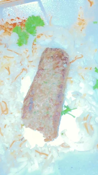 Levantine Grill - The kofta. Food was still warm and it was barley breaking off - Mediterranean Near Me - Novi, Michigan