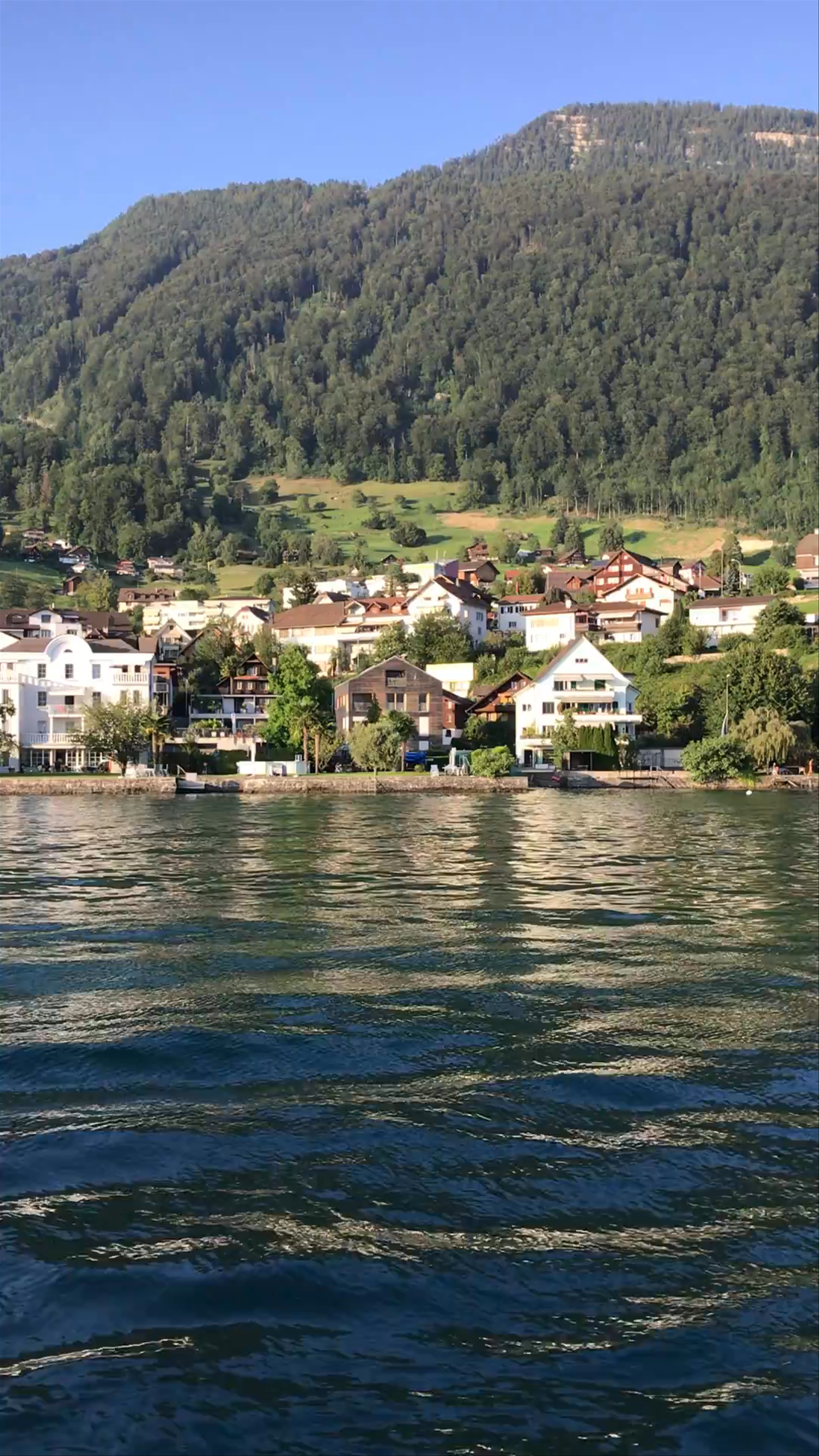 Lake Constance Supplier Dialogue