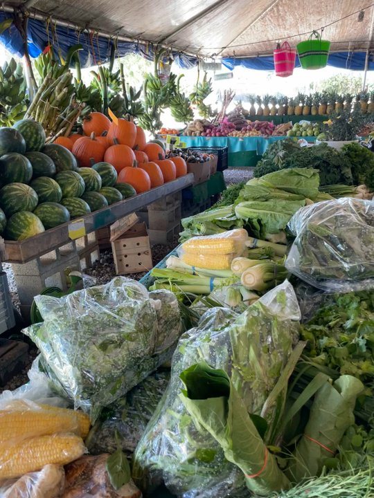 Maria Corona Produce - Farmers Market Near Me - Miami, Florida