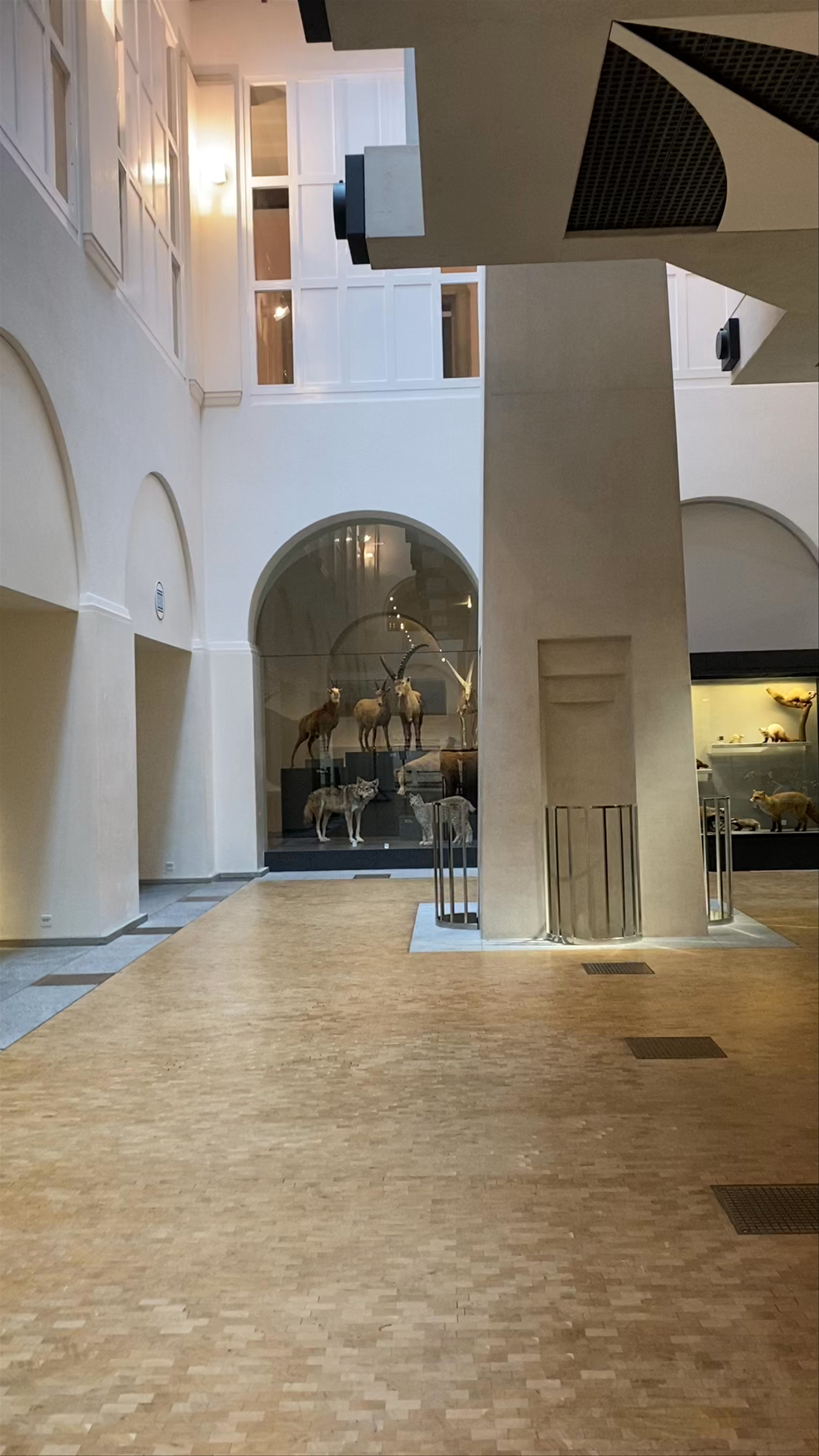 Zoological Museum of Zurich