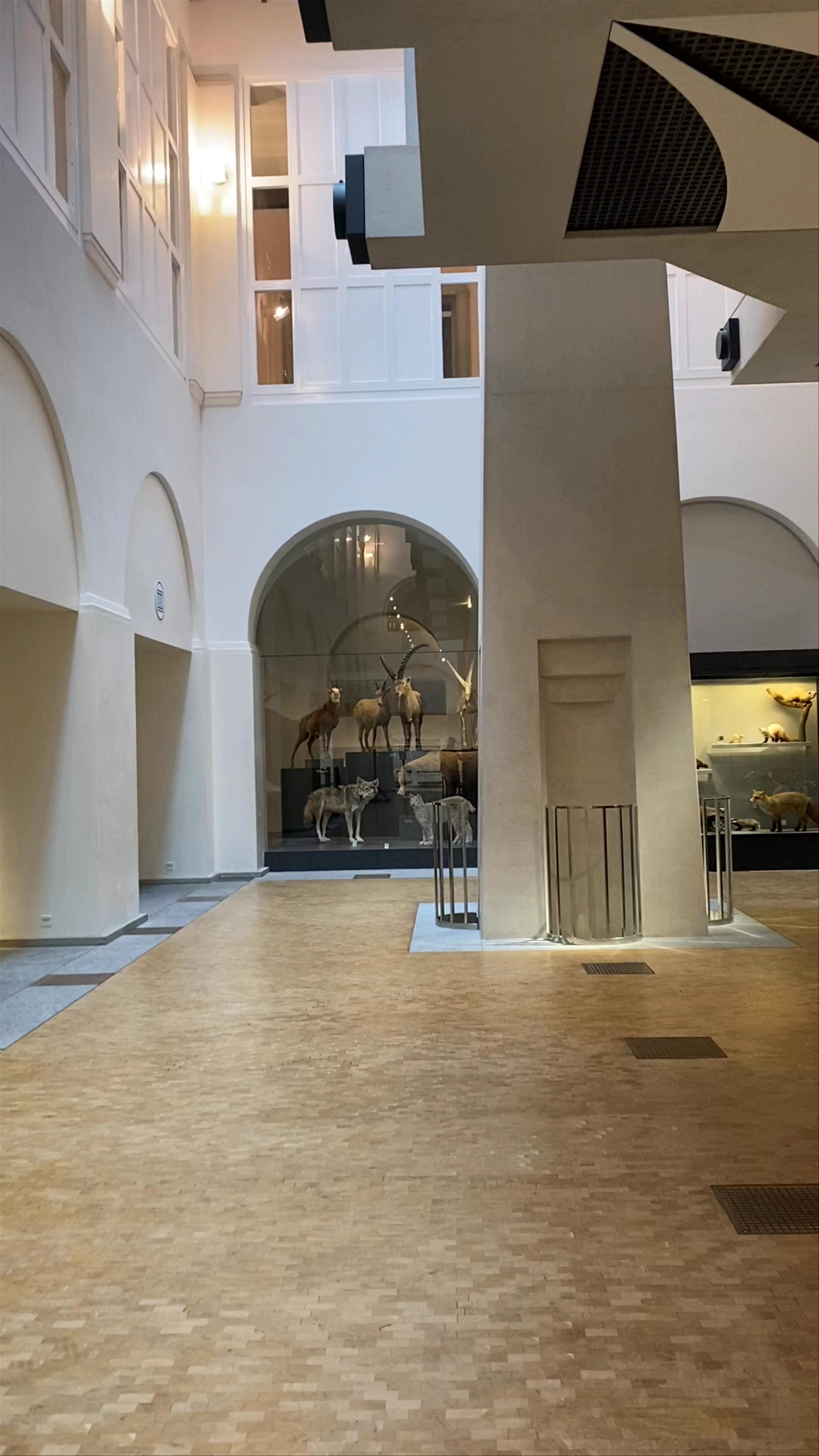 Zoological Museum of Zurich
