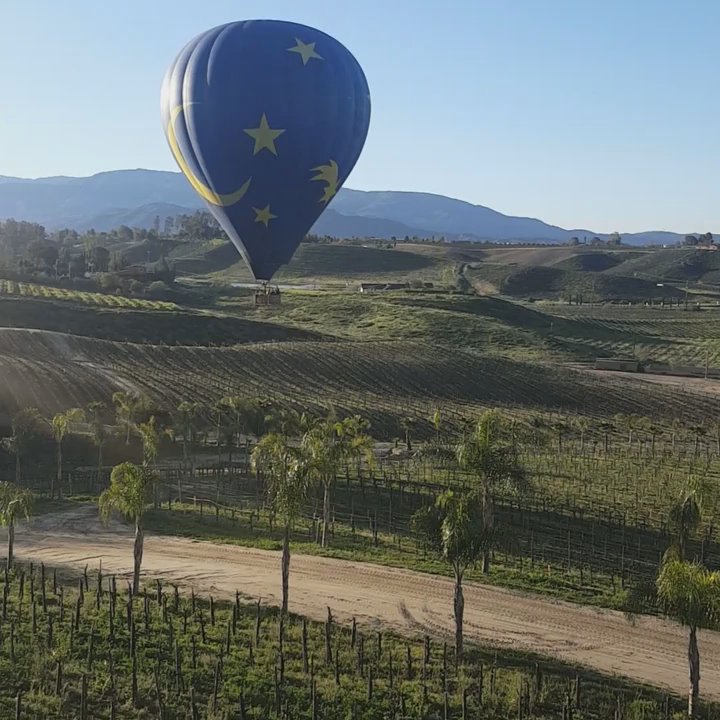 Vindemia Estate Winery - Just look at this! - Wine Bars Near Me - Temecula, California