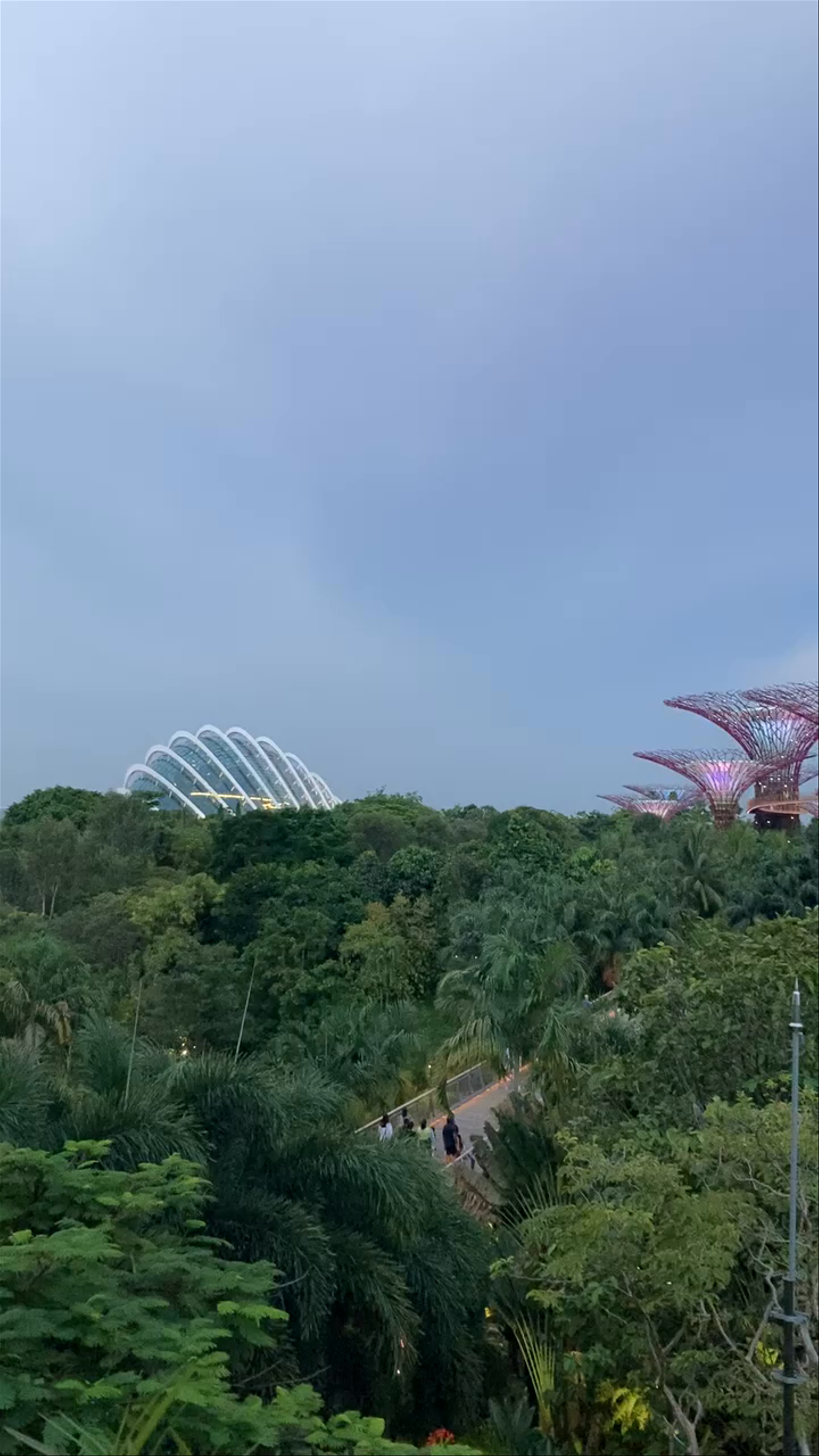 Gardens by the Bay East (Panoramic view)