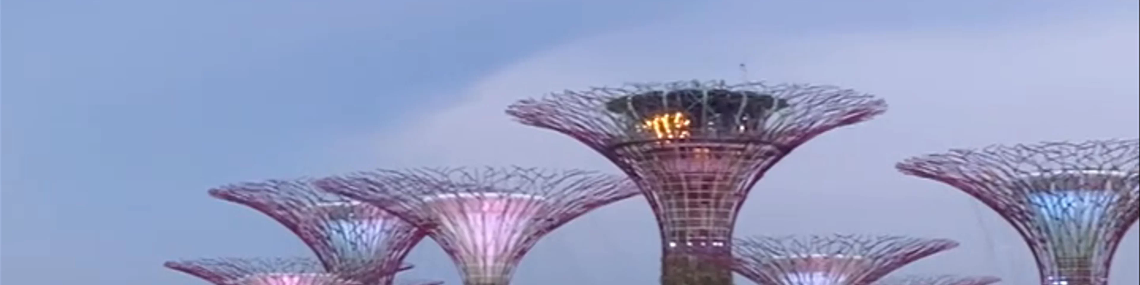 Gardens by the Bay East (Panoramic view)