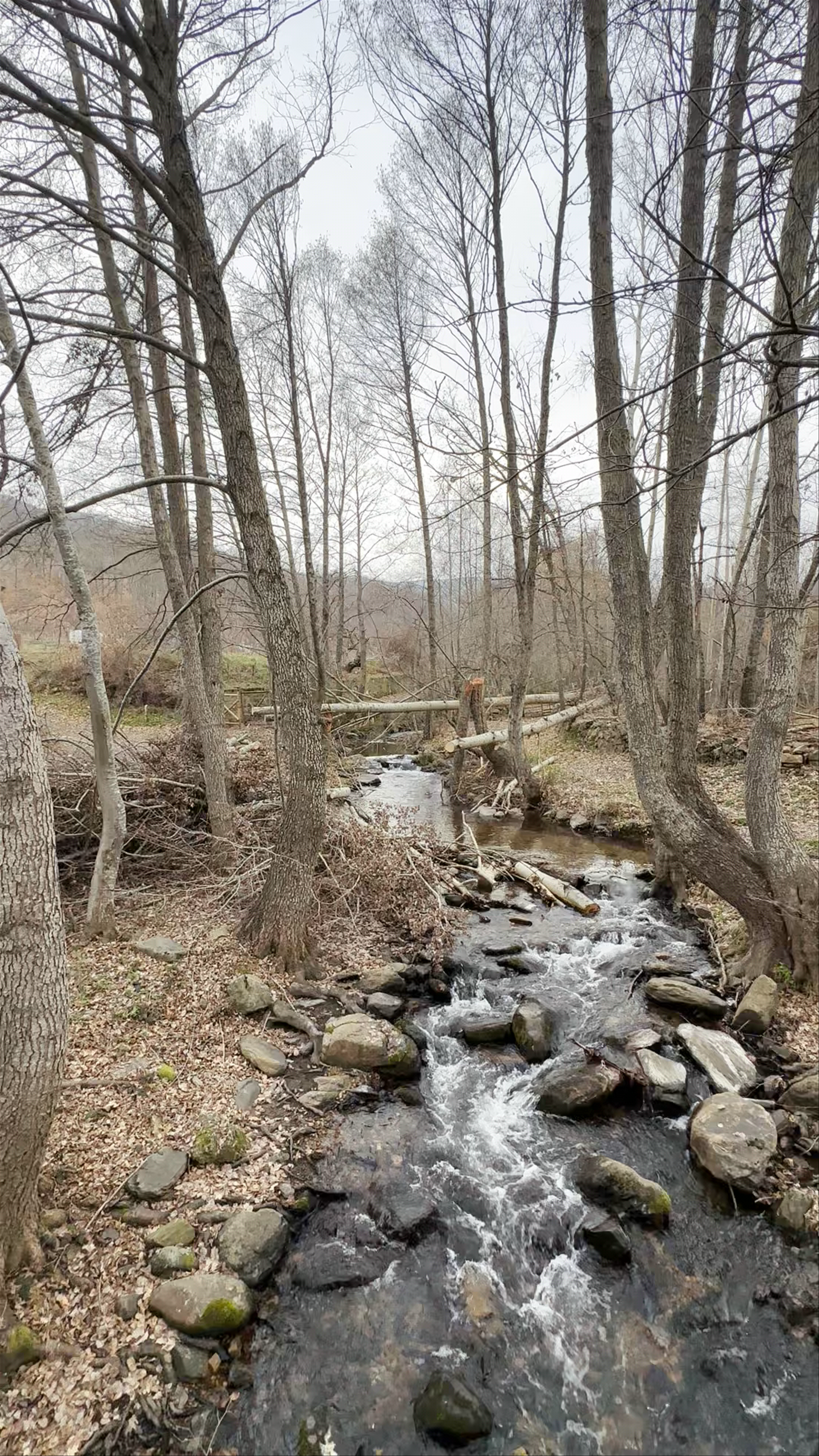 Oficina de turismo Puebla de la Sierra