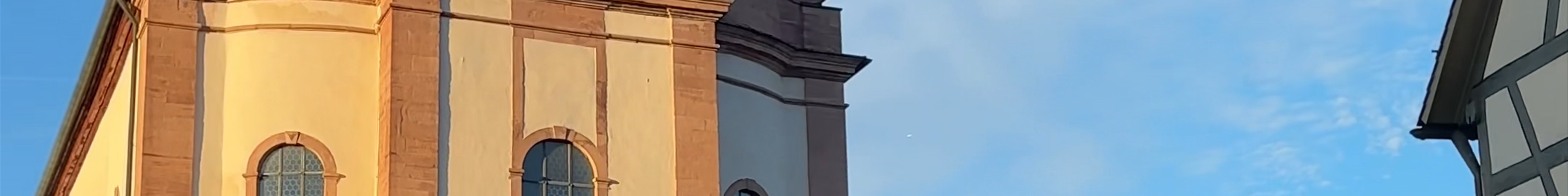Tours & experiences in Königheim