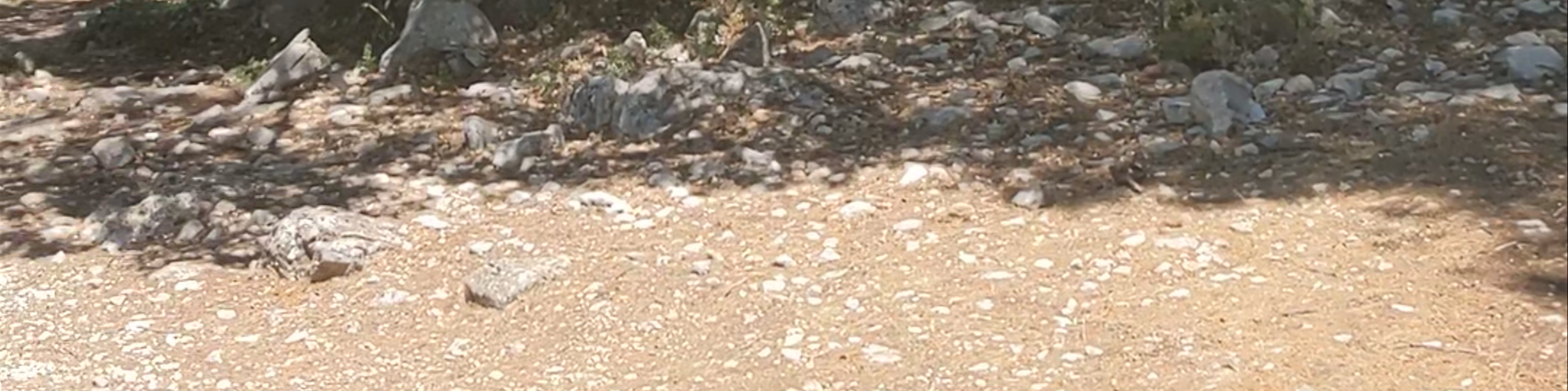 Termessos Antik Kenti