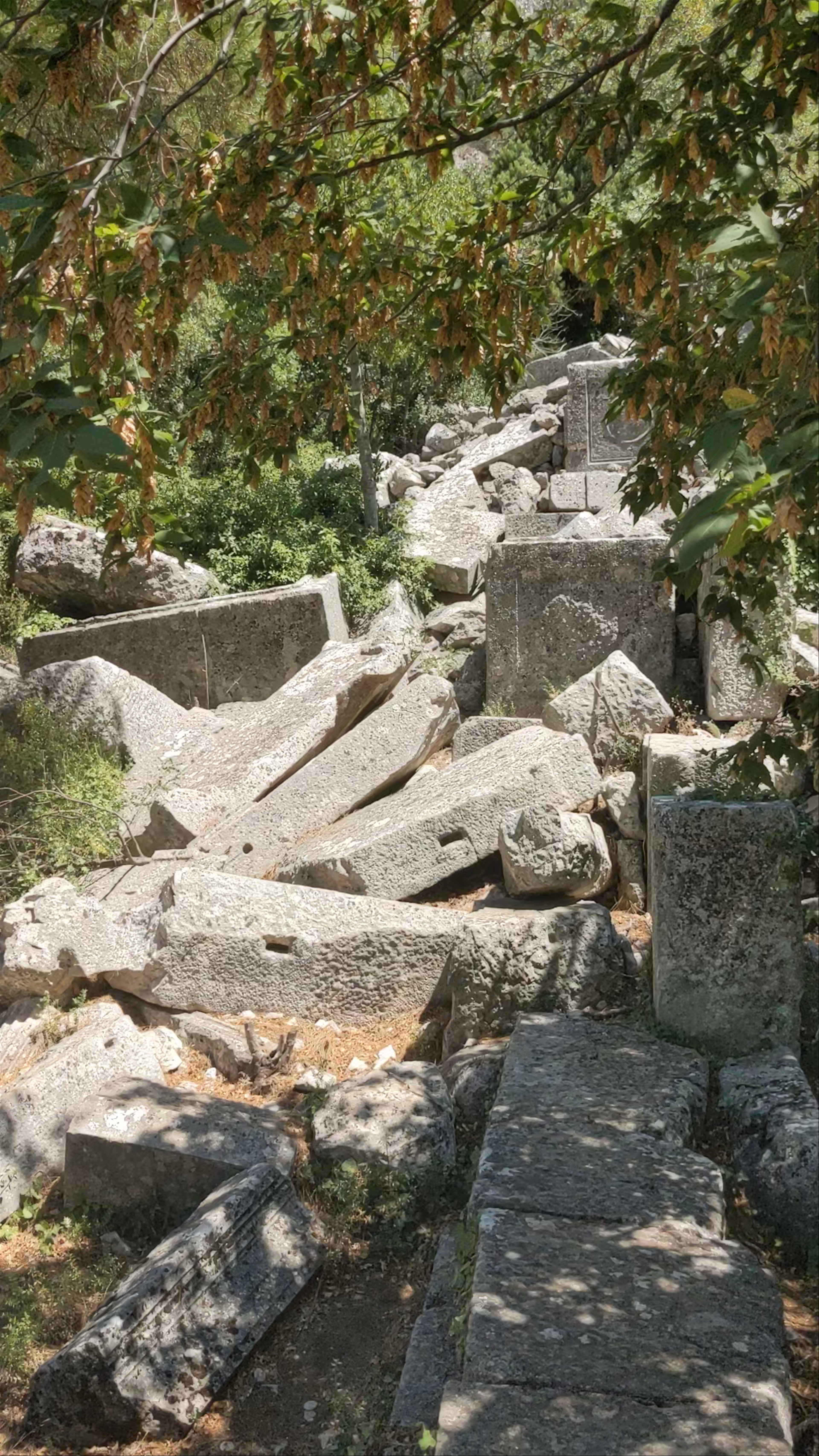 Exploring Termessos Ruins: Ancient Hidden Gem Amidst Antalya's Forest