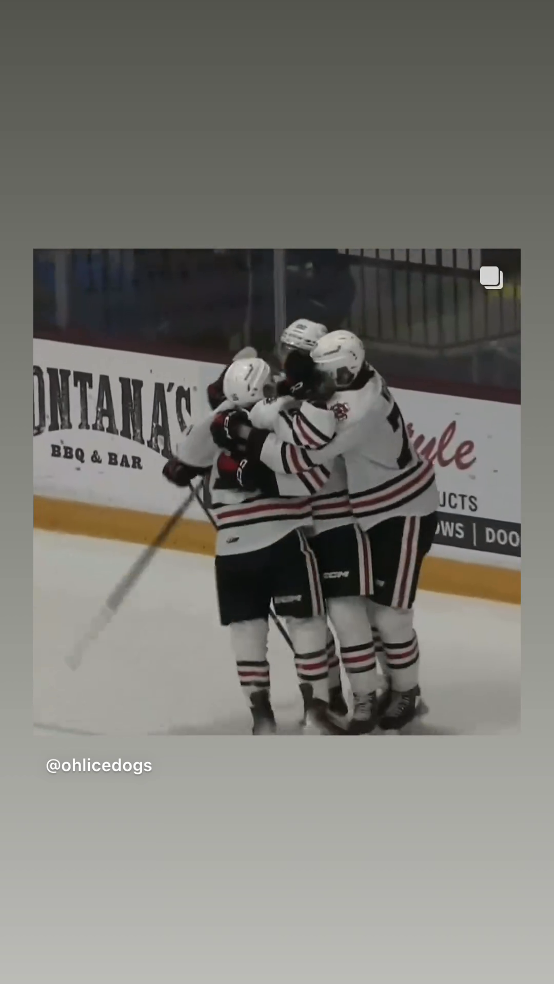 William Stewart's Highlights