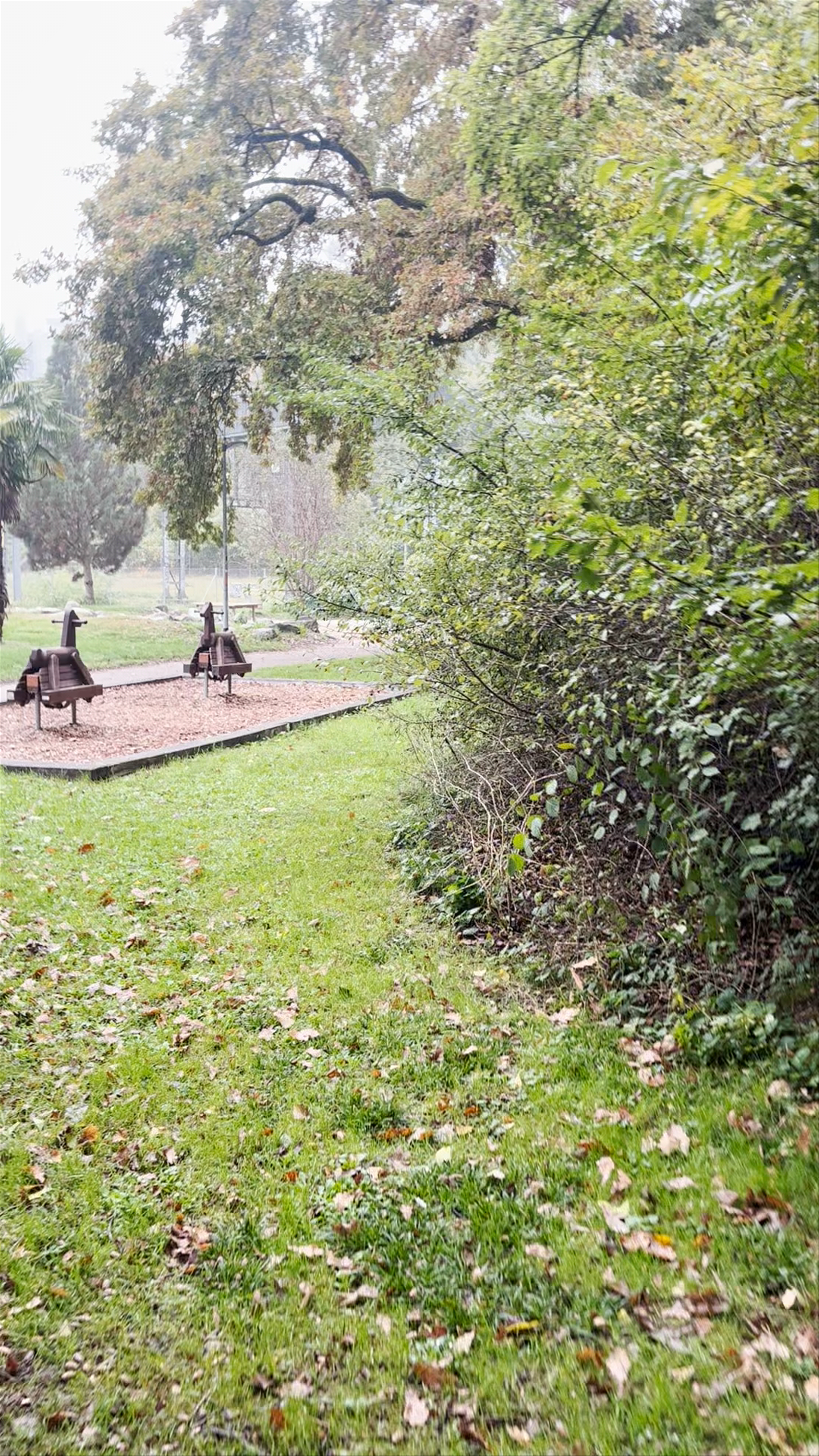 Morning Stroll at Pataugeoire du Parc Cayla, Geneva