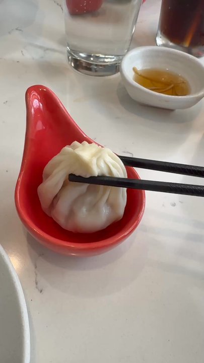 Dumpling Story - Beef XLB jiggle - Asian Fusion Near Me - San Francisco, California