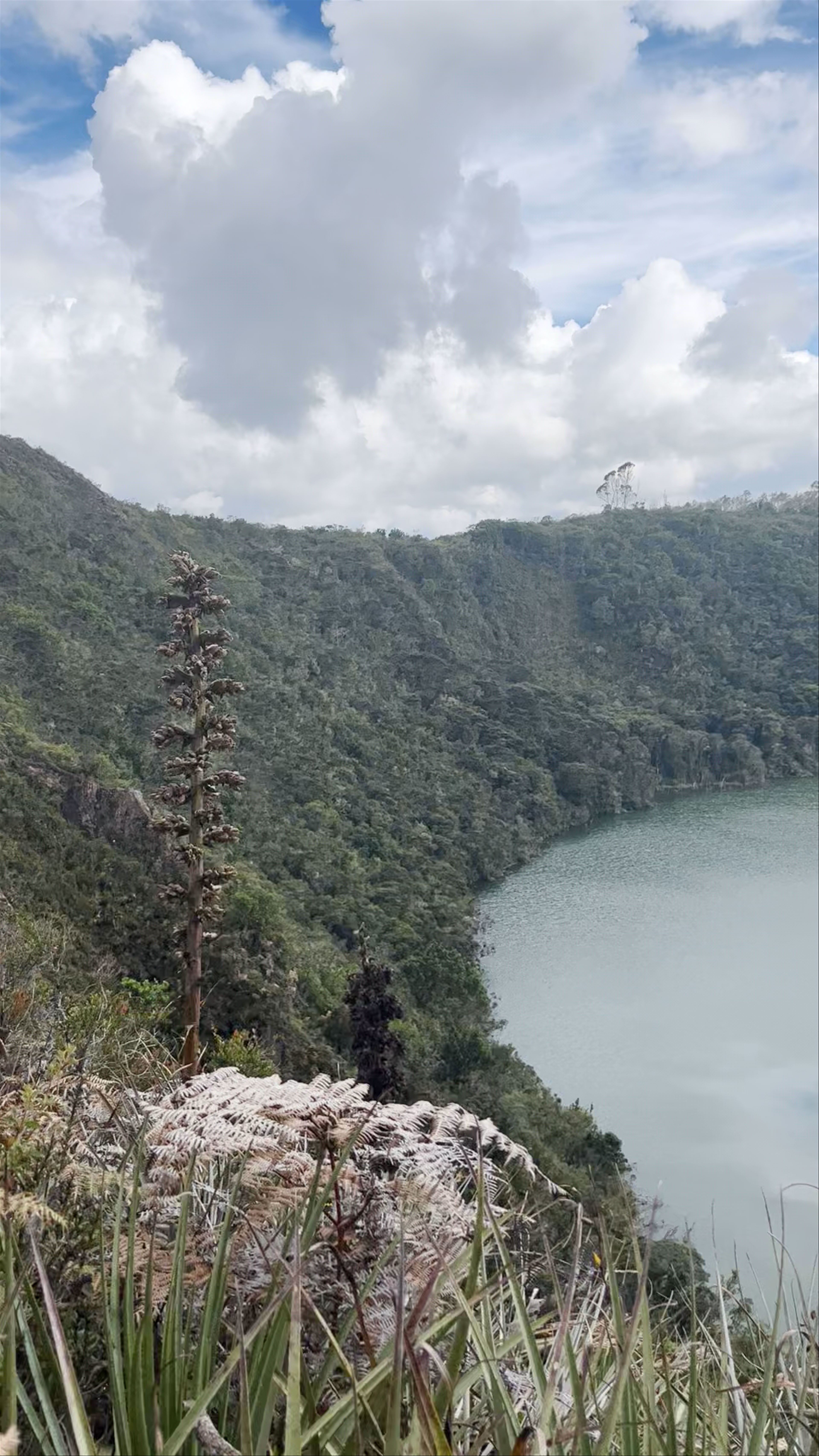 Ciénaga Grande De Santa Marta