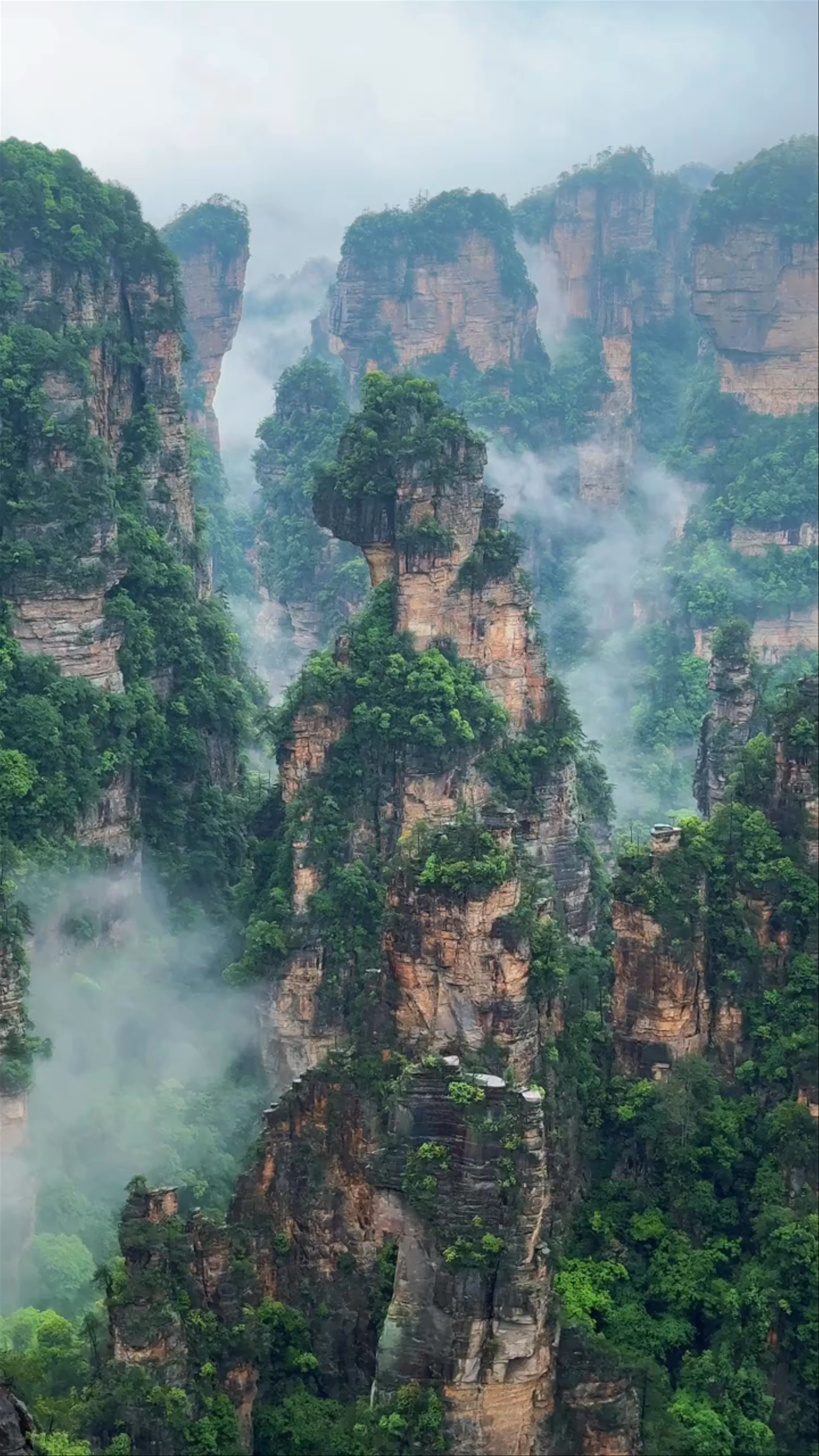 Zhangjiajie National Forest Park