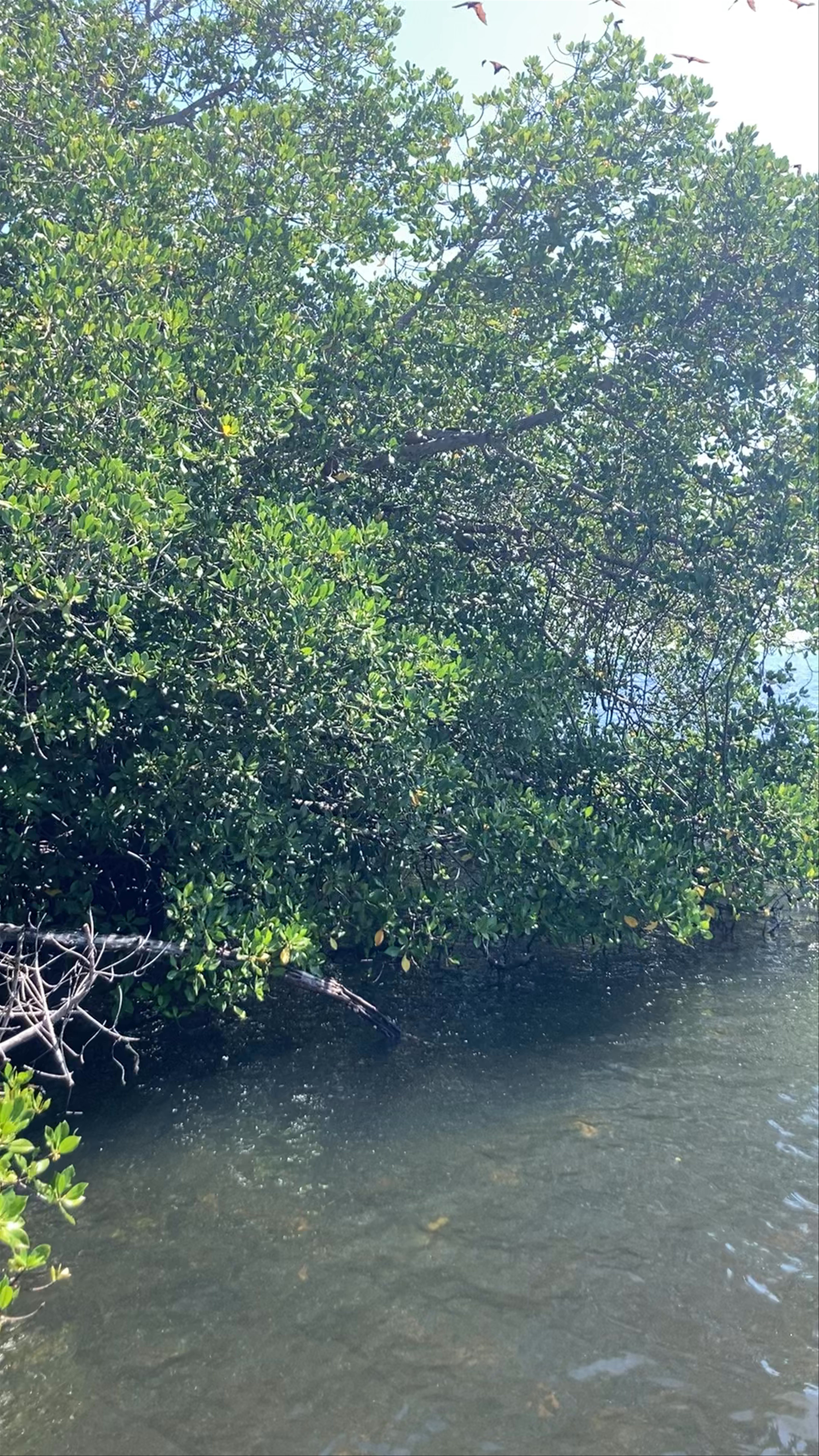 17 Islands National Park