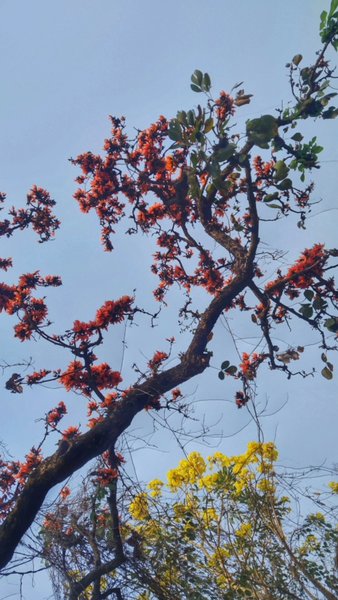 Photo of Basanta Bolpur #spri