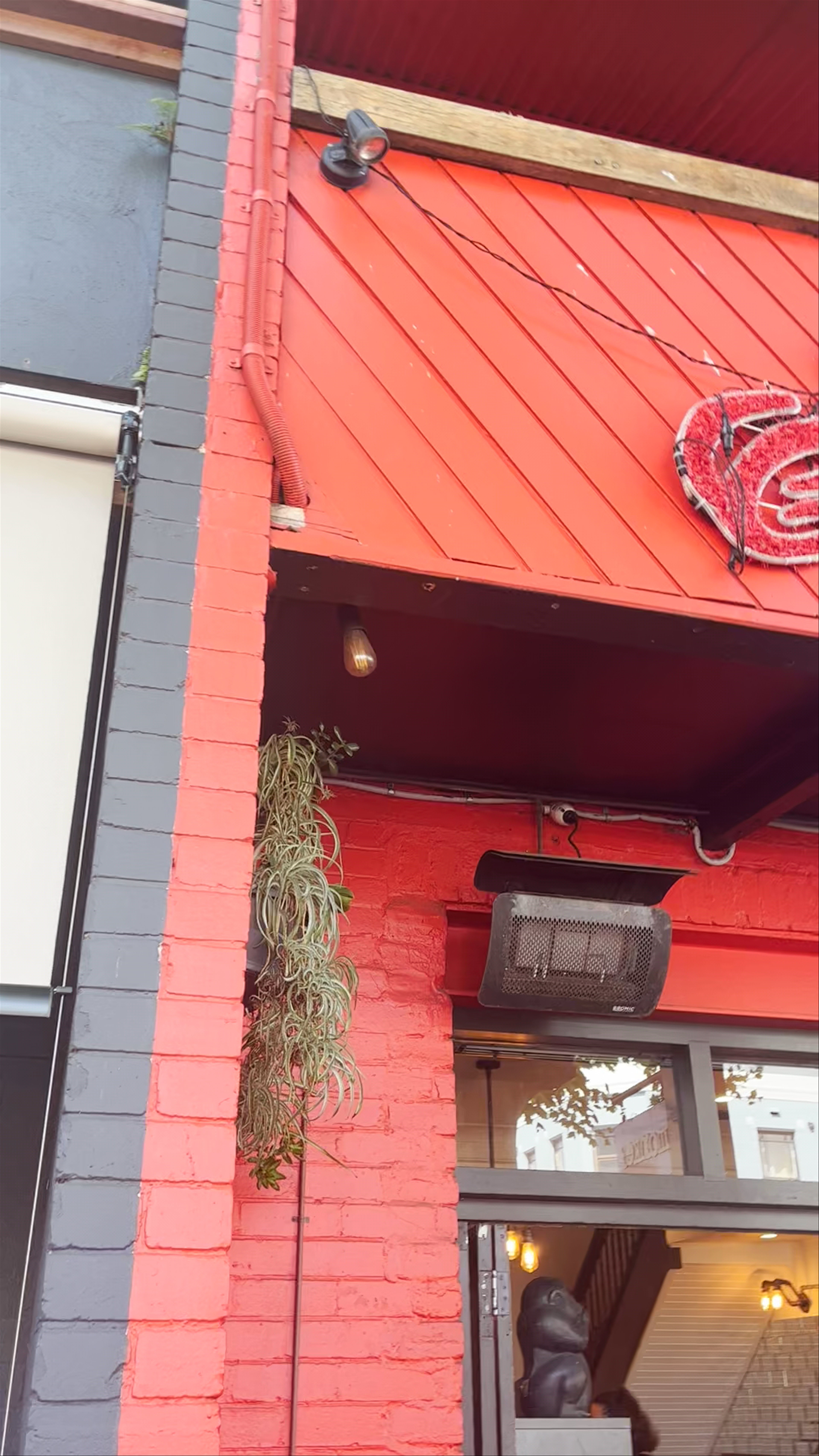 Vibrant Café Vibes at Three Monkeys Cafe, Cooks Hill