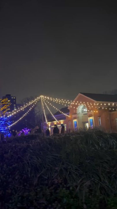 Zoolights - Local Flavor Near Me - Chicago, Illinois