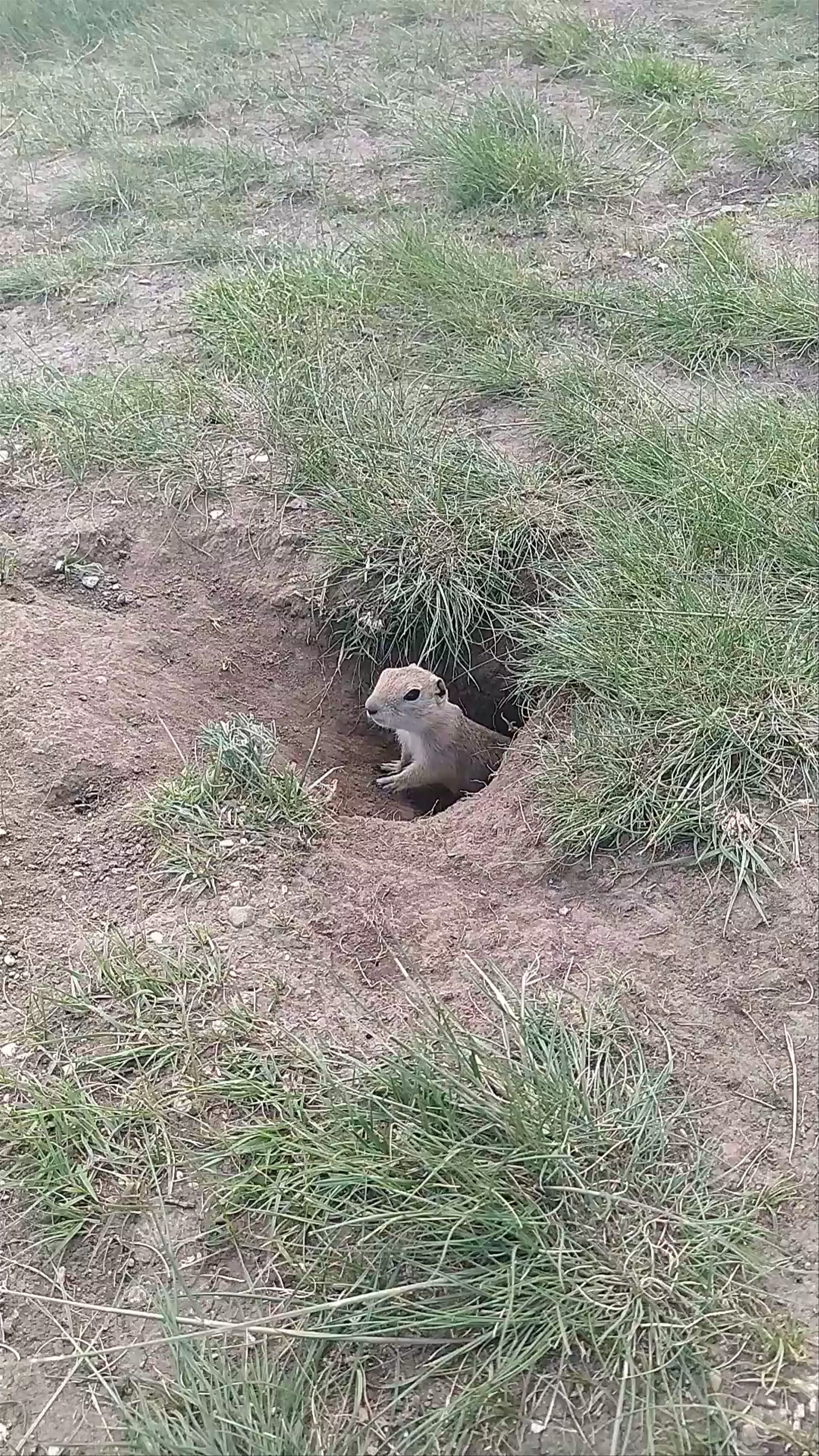 Drumheller Visitor Information Centre