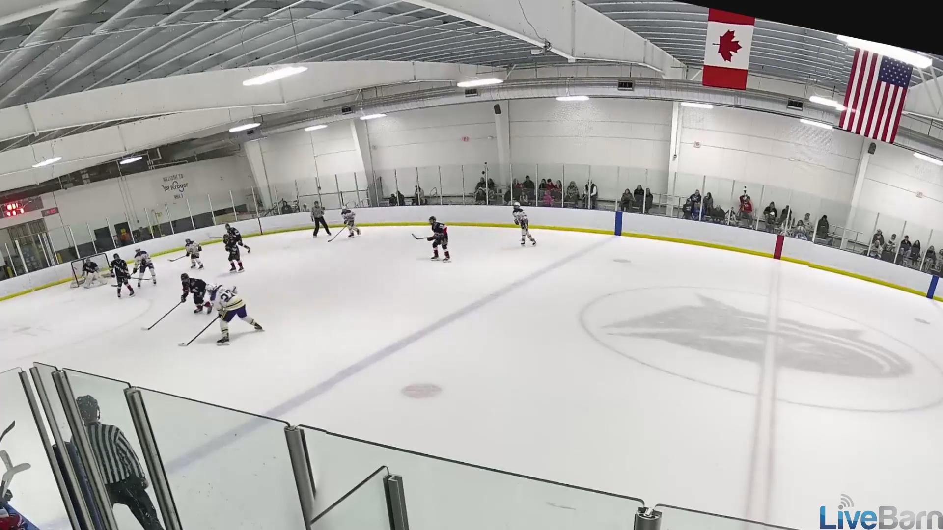 Logan Reed's Spectacular Goals | SISU Thunderbirds 14U AA Highlights