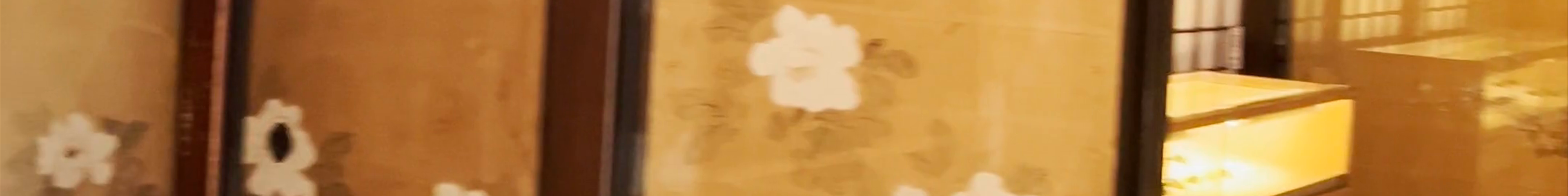 Tours & experiences in Kanazawa
