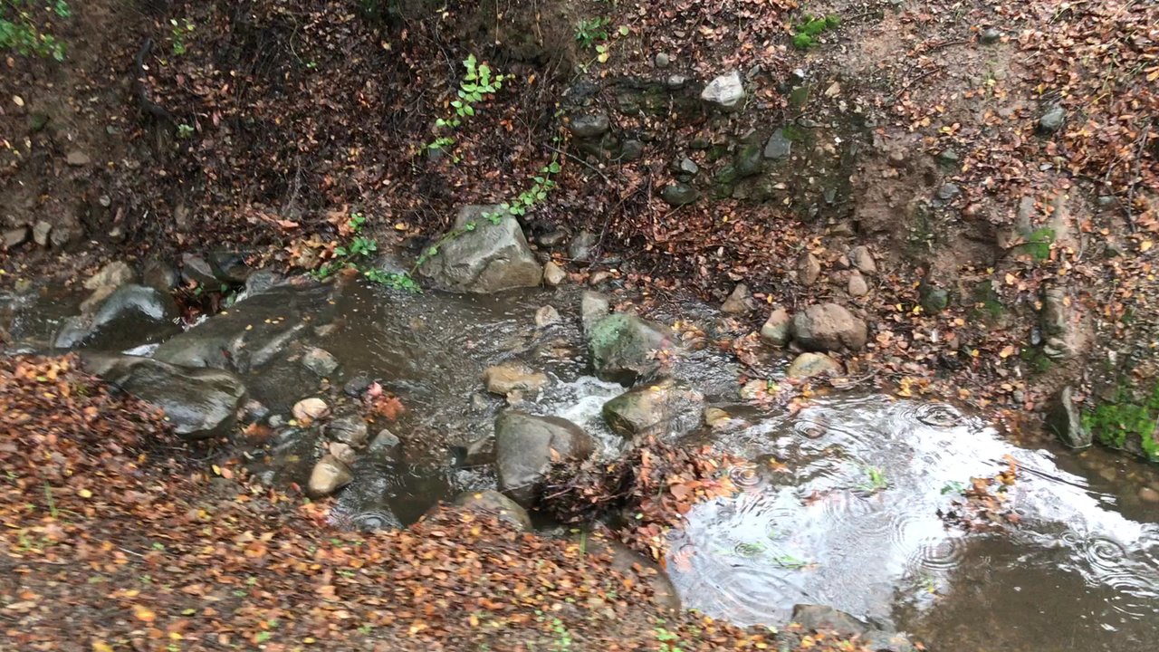 Ojai Valley Trail - December 31, 2022 - Hiking Near Me - Ojai, California