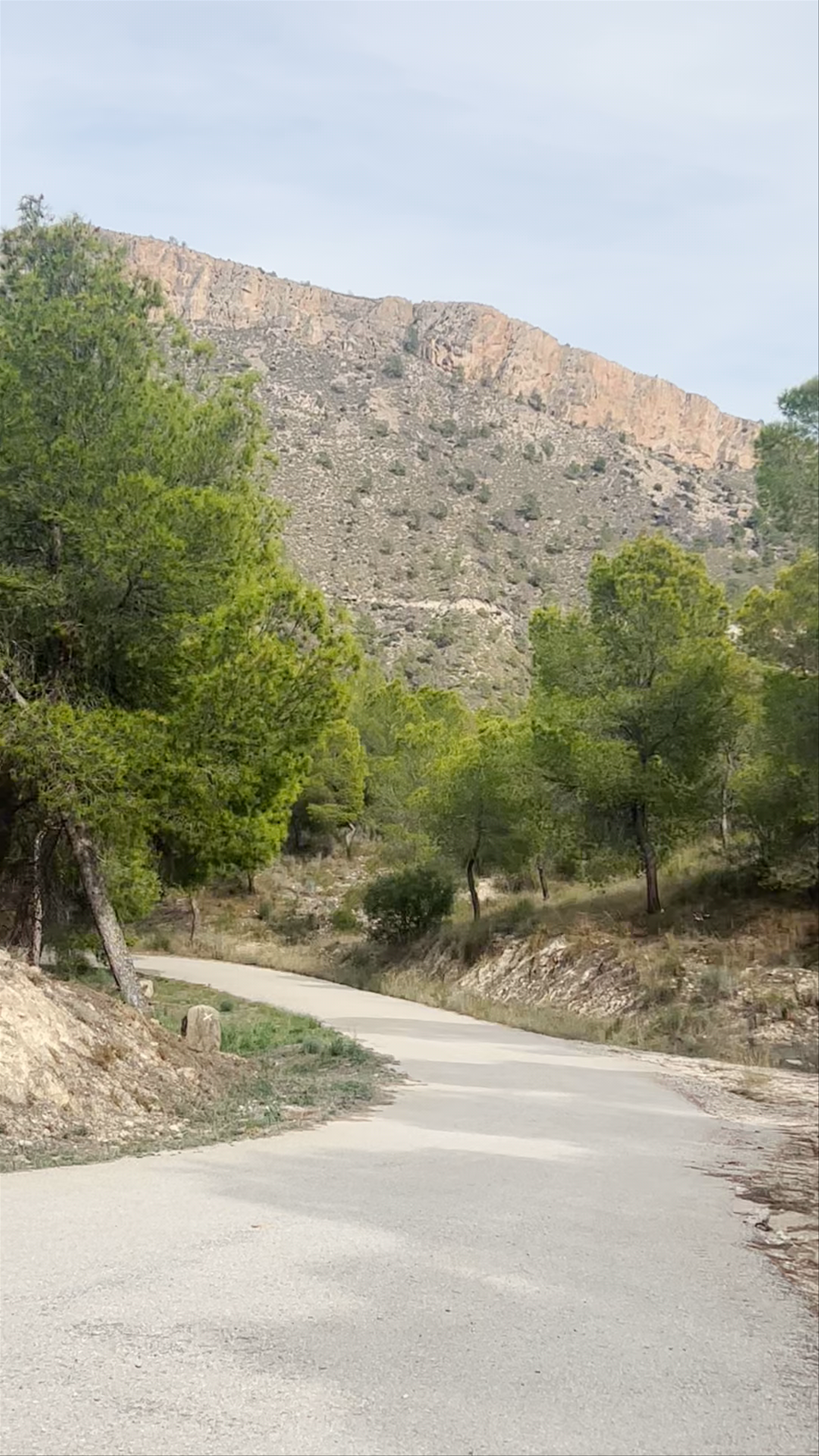 Mirador del Azud