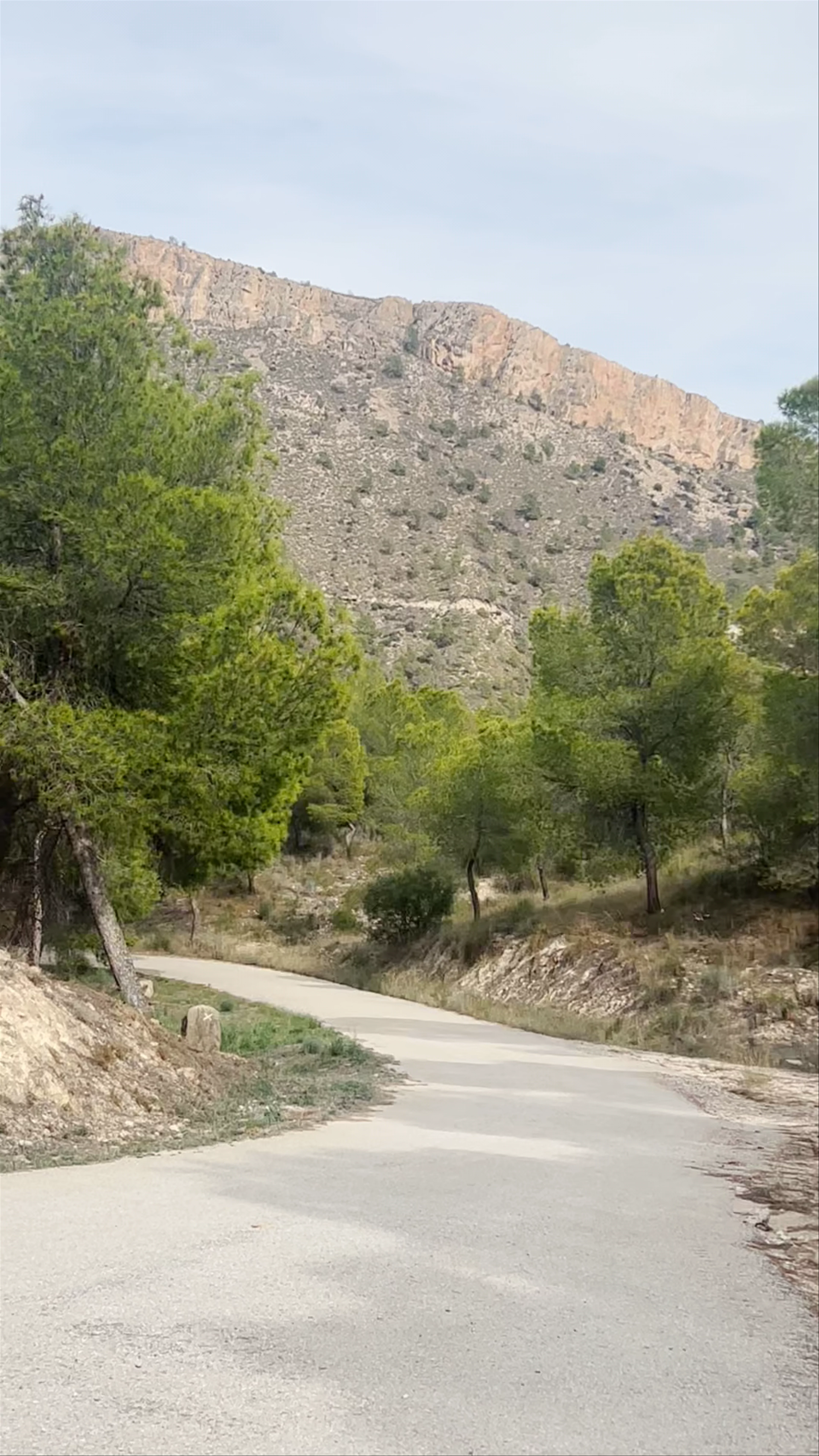 Mirador del Azud
